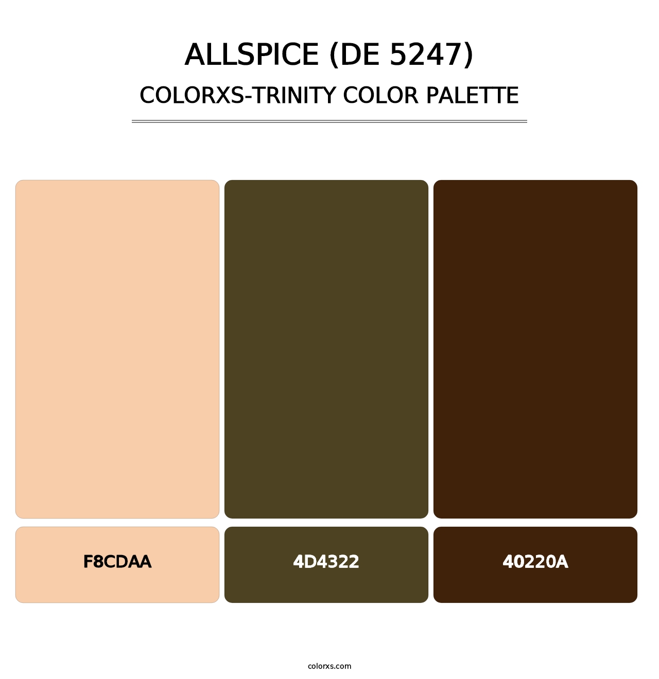 Allspice (DE 5247) - Colorxs Trinity Palette