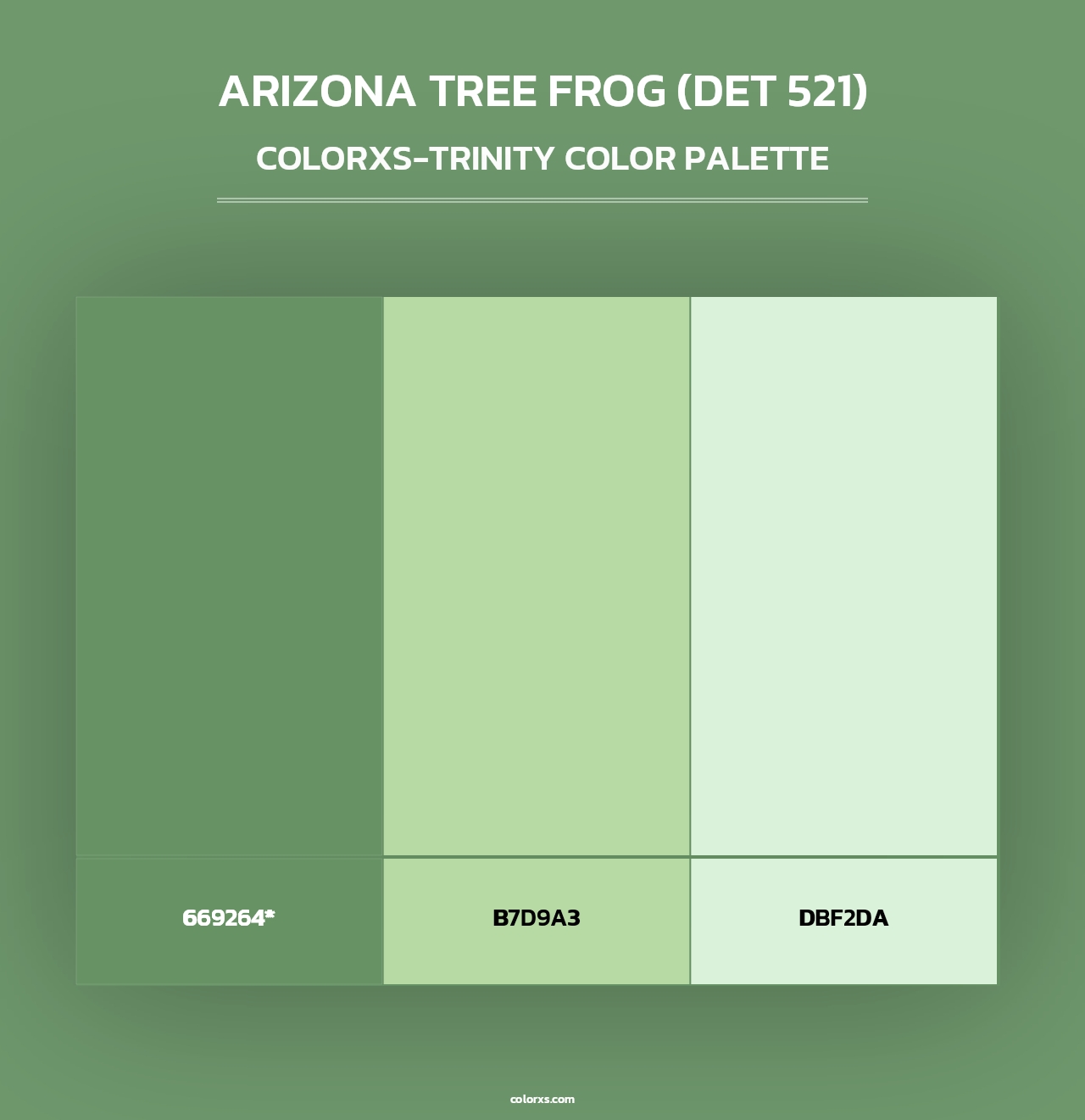 Arizona Tree Frog (DET 521) - Colorxs Trinity Palette