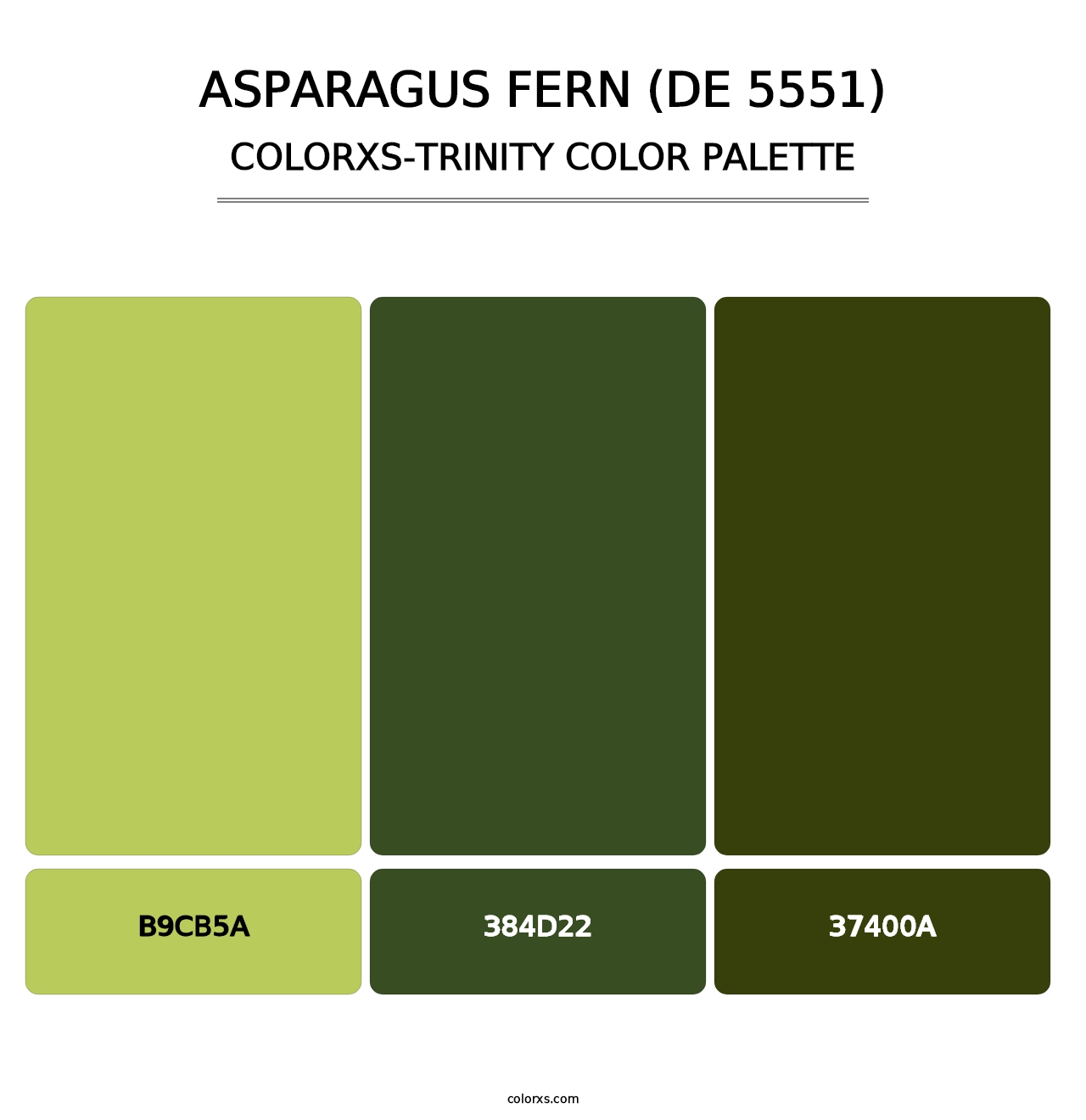 Asparagus Fern (DE 5551) - Colorxs Trinity Palette