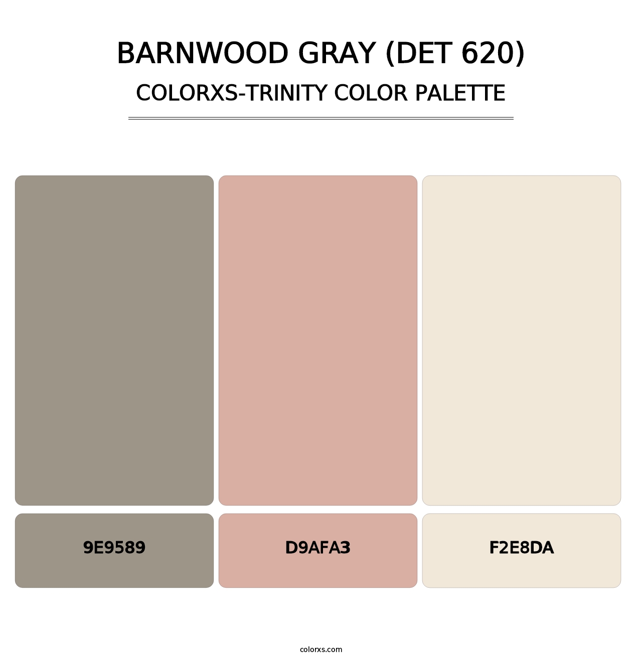 Barnwood Gray (DET 620) - Colorxs Trinity Palette
