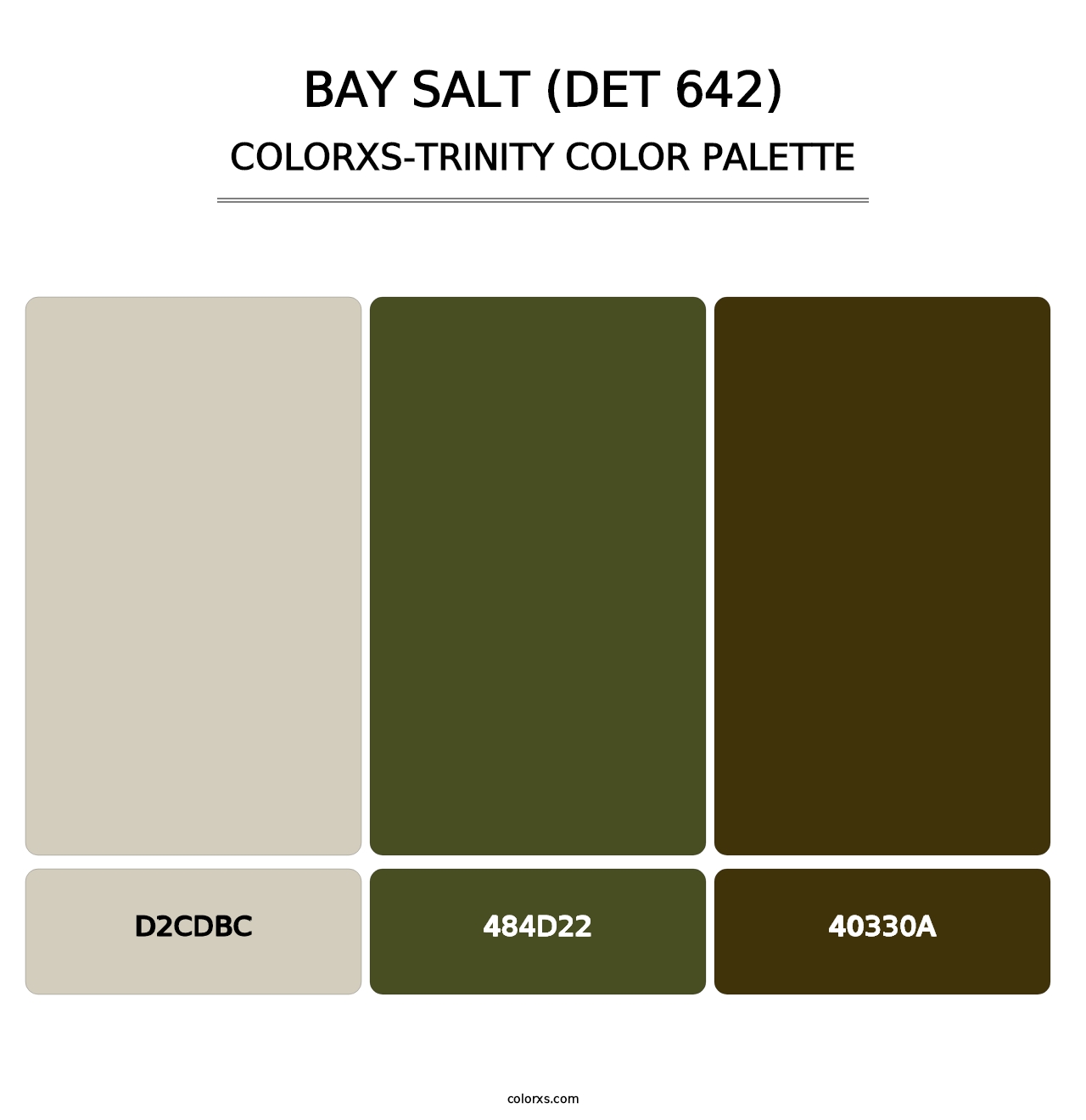 Bay Salt (DET 642) - Colorxs Trinity Palette