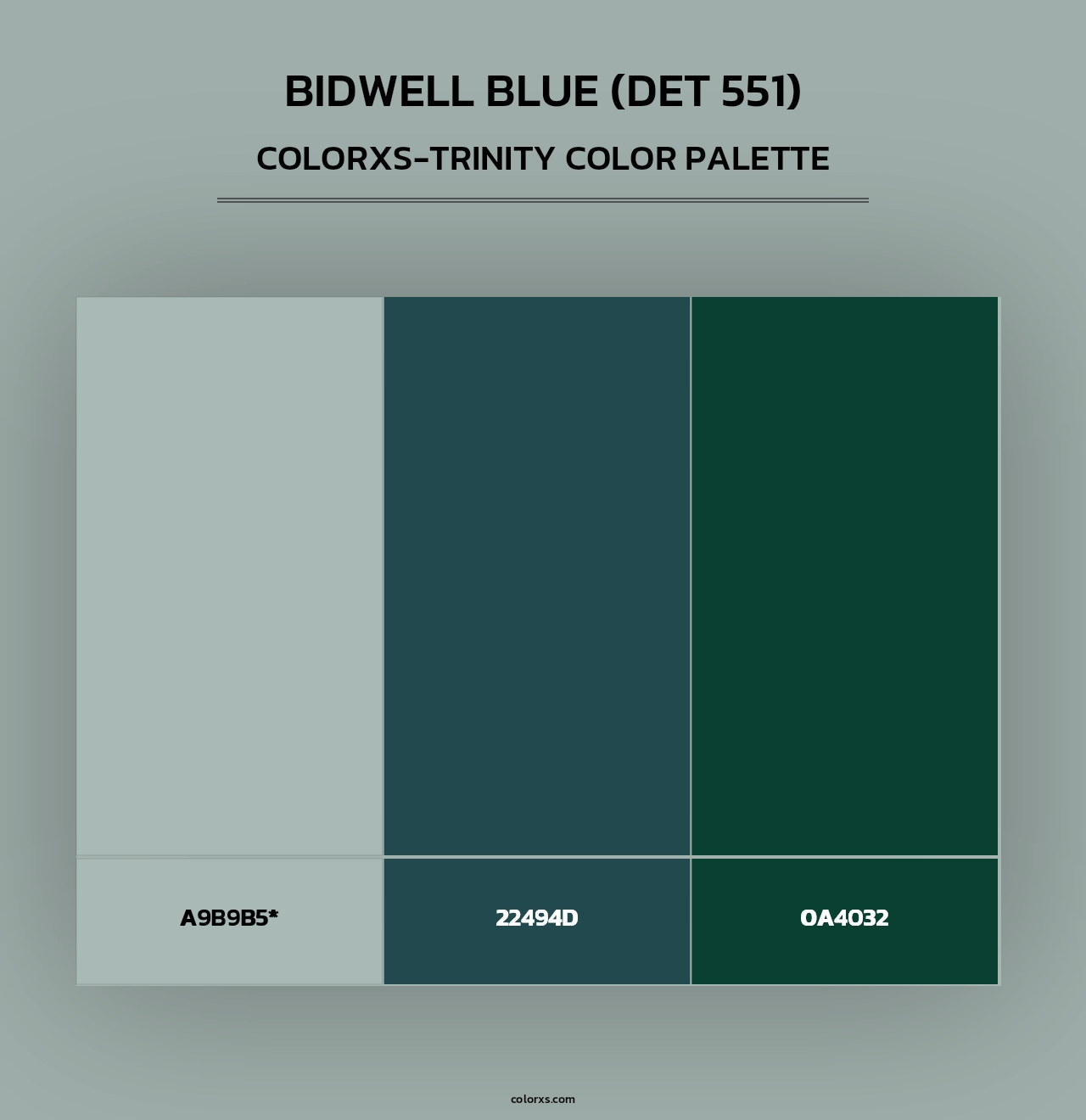 Bidwell Blue (DET 551) - Colorxs Trinity Palette