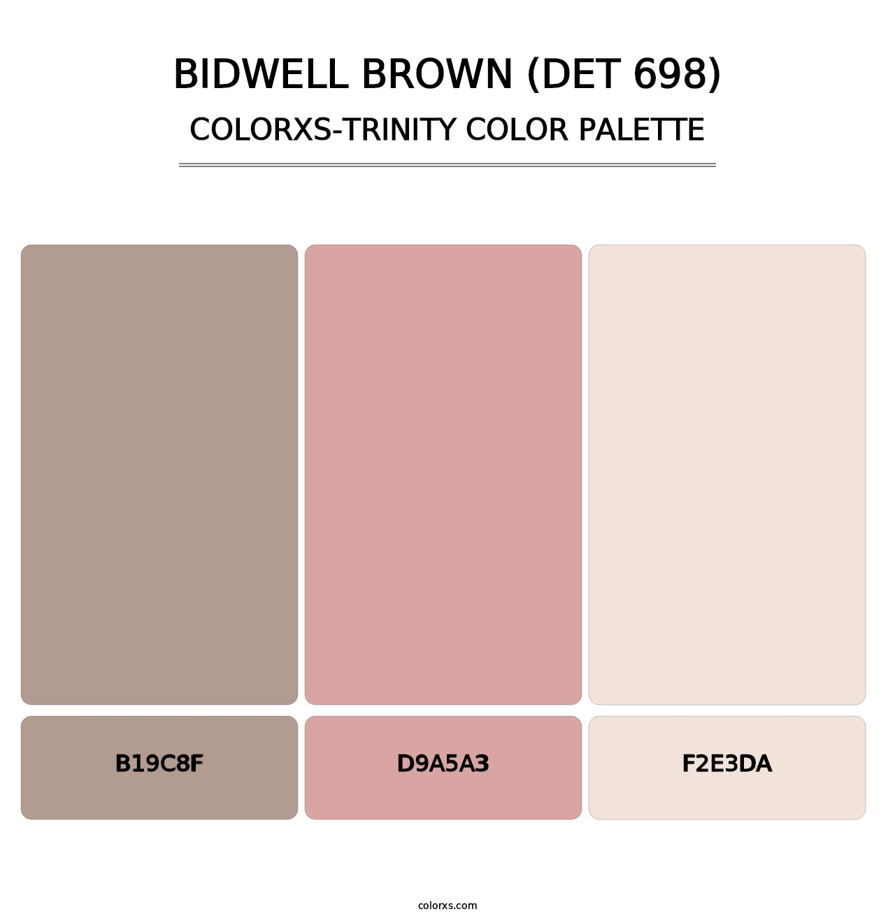 Bidwell Brown (DET 698) - Colorxs Trinity Palette