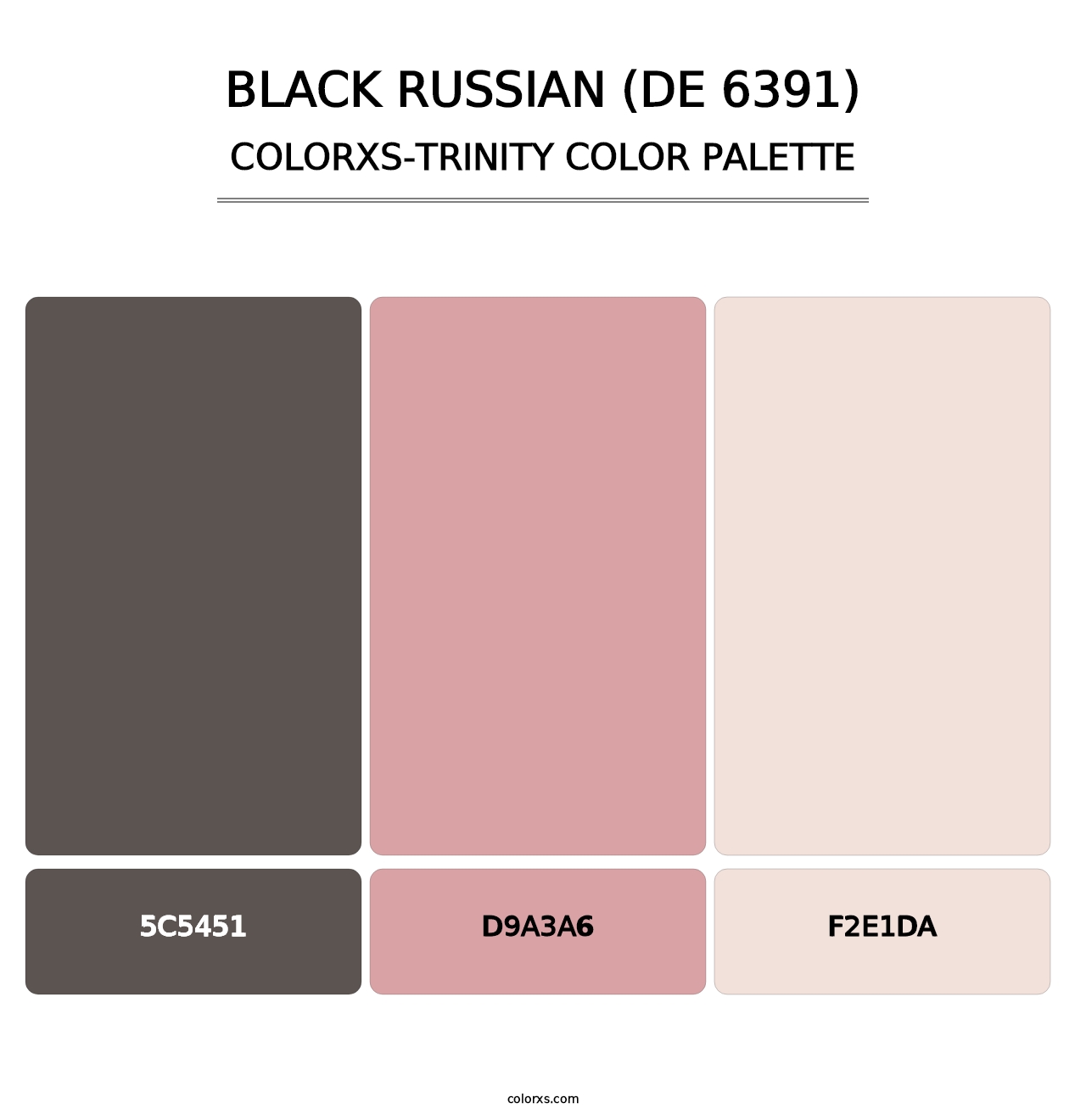 Black Russian (DE 6391) - Colorxs Trinity Palette