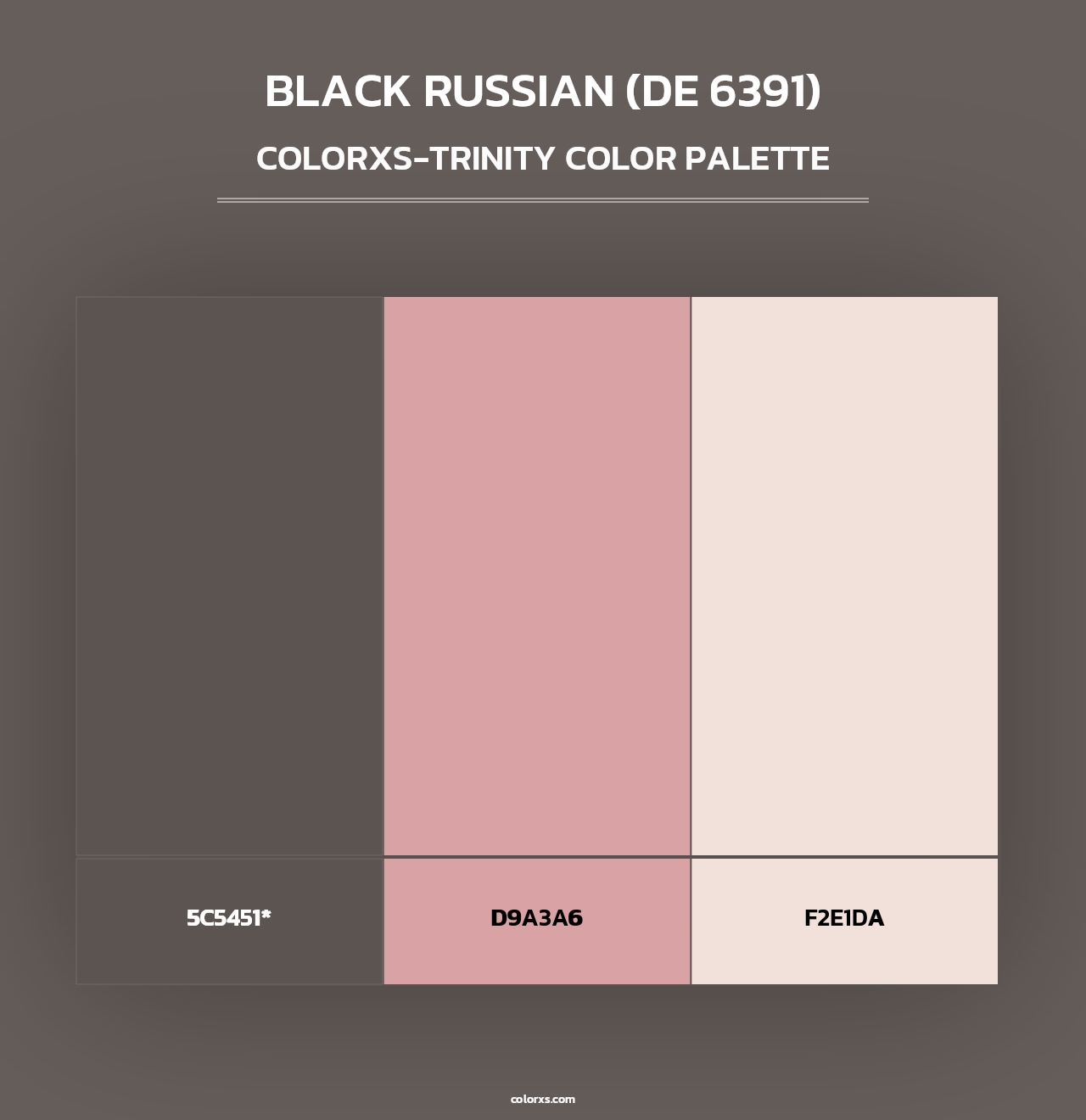Black Russian (DE 6391) - Colorxs Trinity Palette