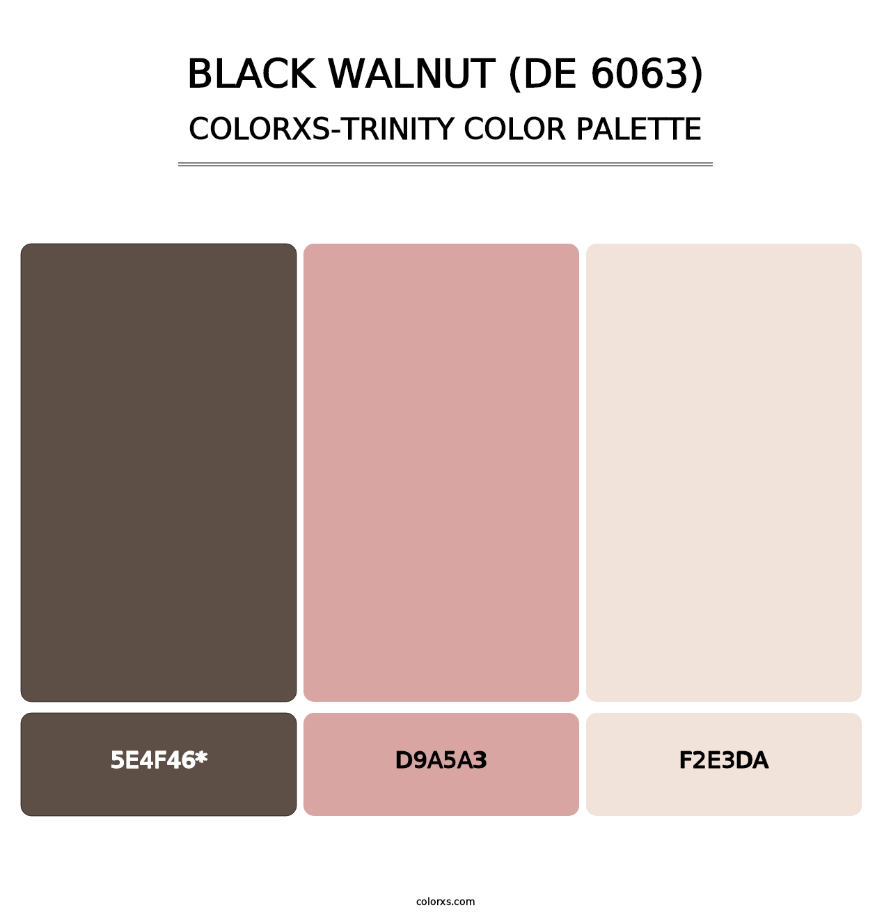Black Walnut (DE 6063) - Colorxs Trinity Palette