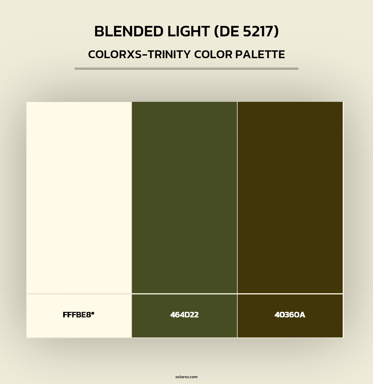Blended Light (DE 5217) - Colorxs Trinity Palette