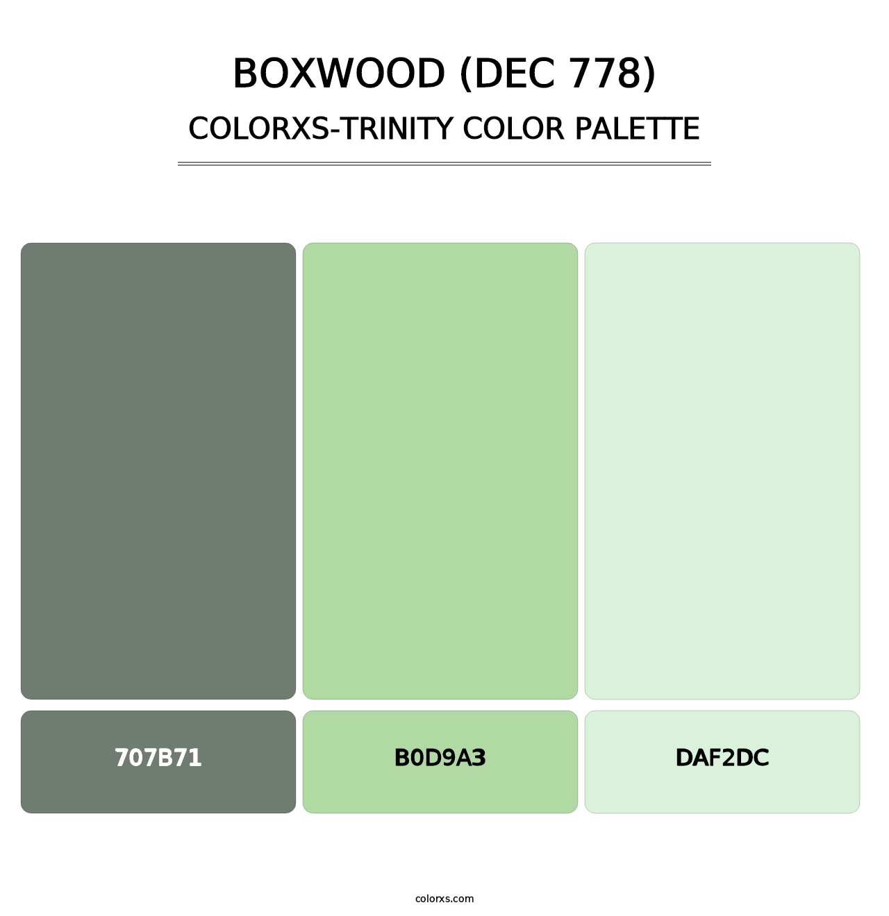Boxwood (DEC 778) - Colorxs Trinity Palette