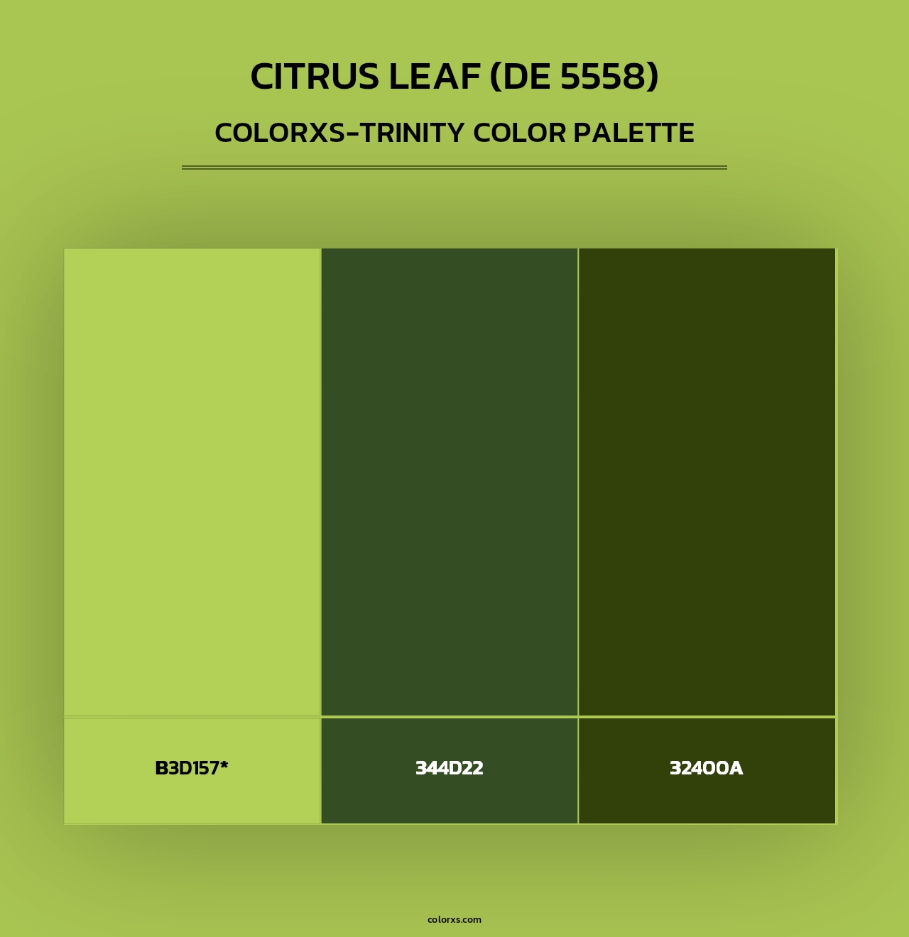 Citrus Leaf (DE 5558) - Colorxs Trinity Palette