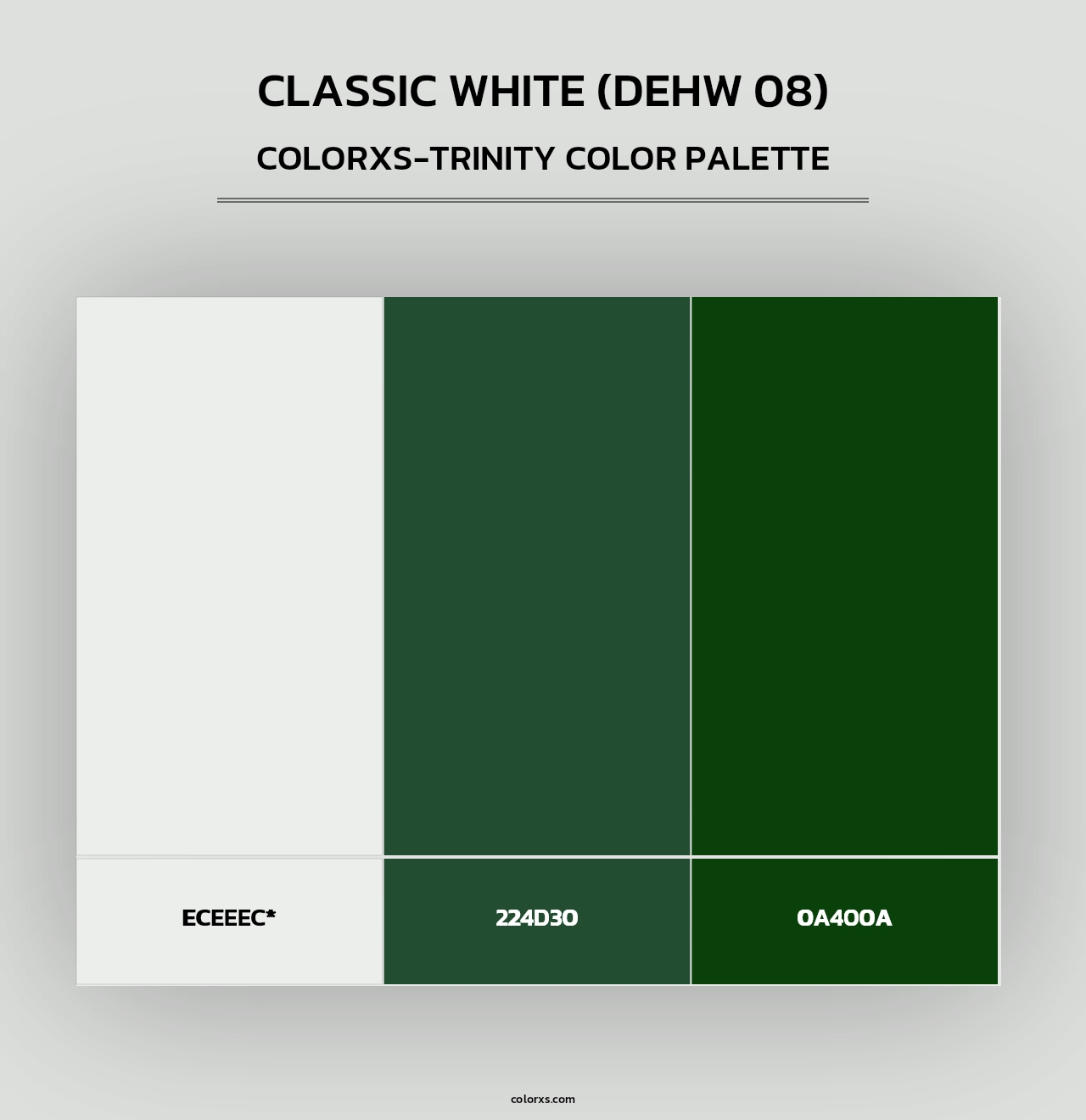 Classic White (DEHW 08) - Colorxs Trinity Palette