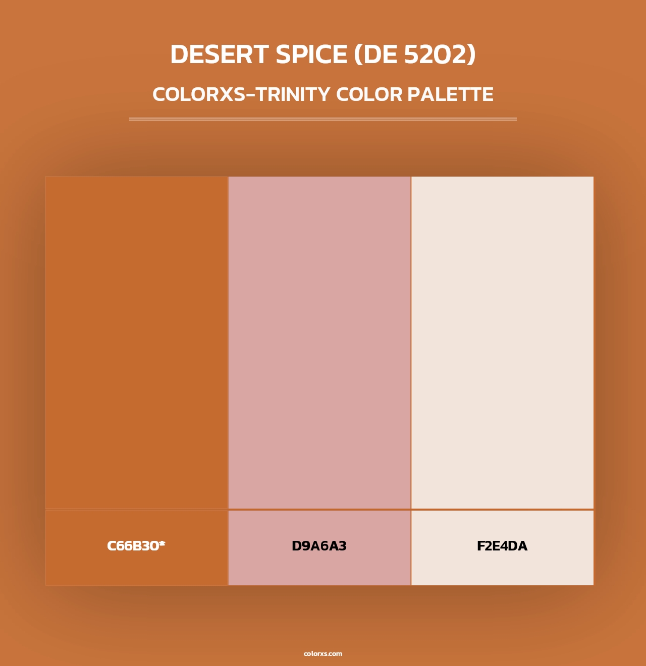 Desert Spice (DE 5202) - Colorxs Trinity Palette