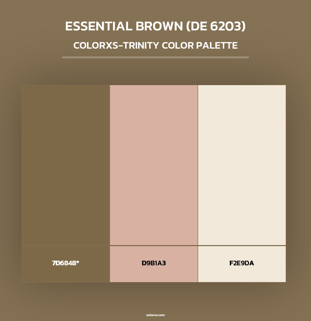Essential Brown (DE 6203) - Colorxs Trinity Palette
