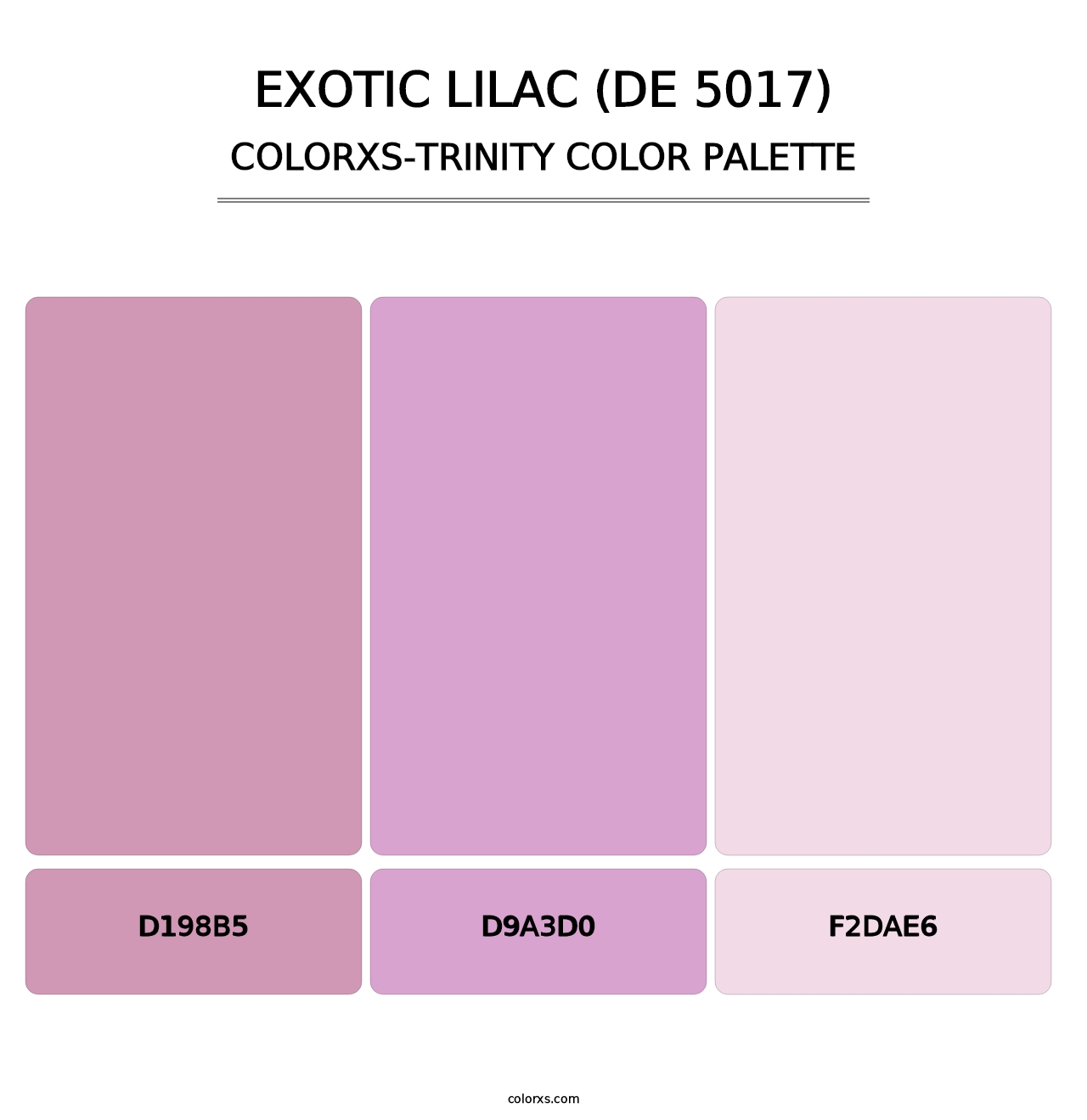 Exotic Lilac (DE 5017) - Colorxs Trinity Palette