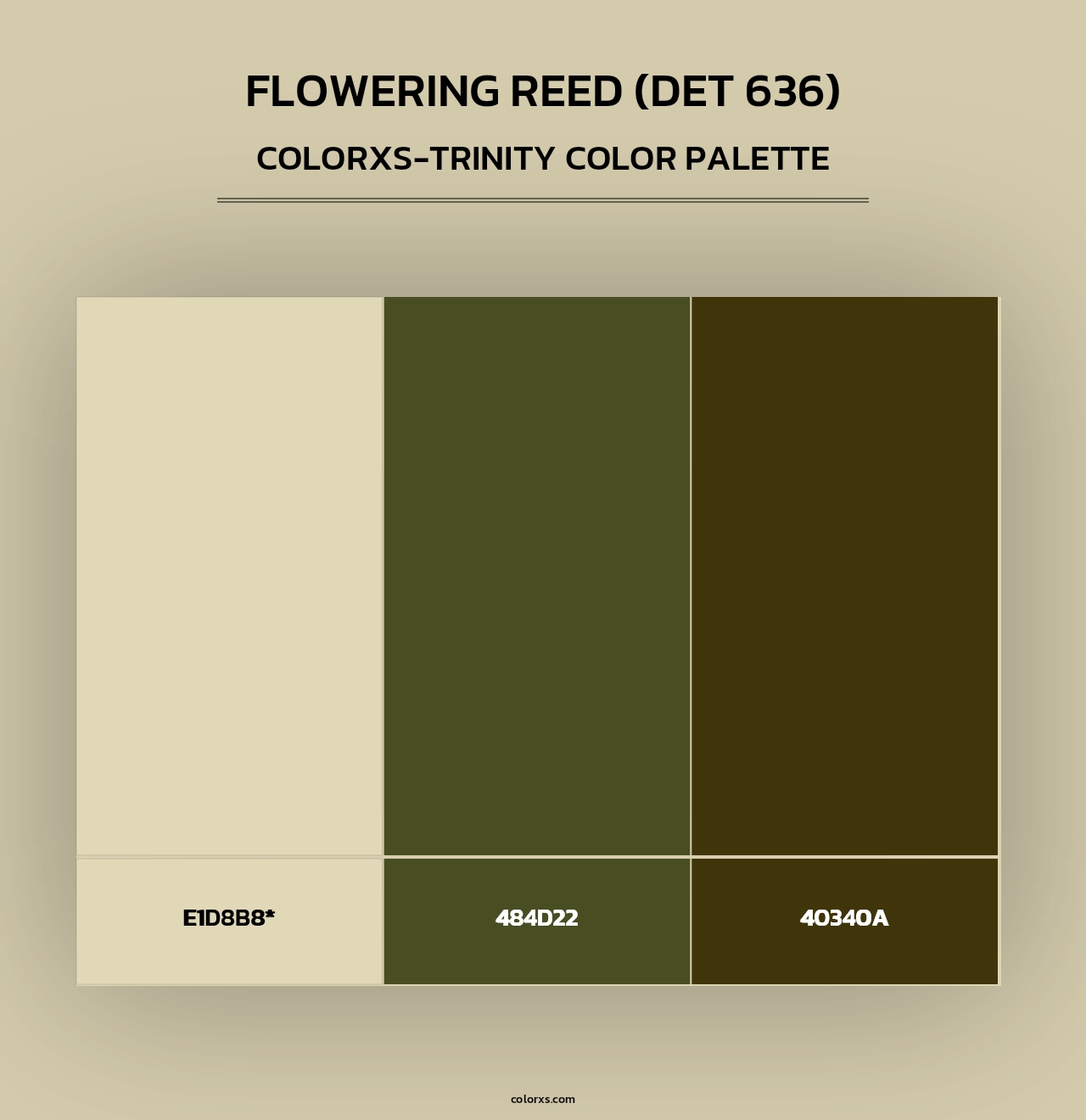 Flowering Reed (DET 636) - Colorxs Trinity Palette