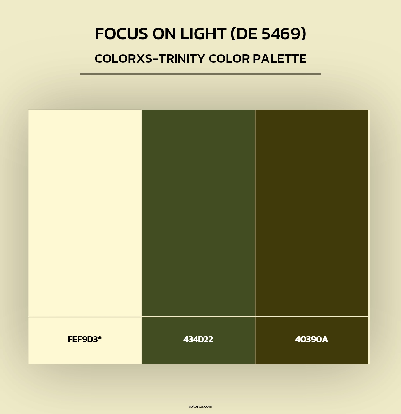 Focus on Light (DE 5469) - Colorxs Trinity Palette
