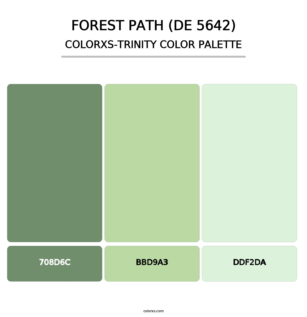 Forest Path (DE 5642) - Colorxs Trinity Palette