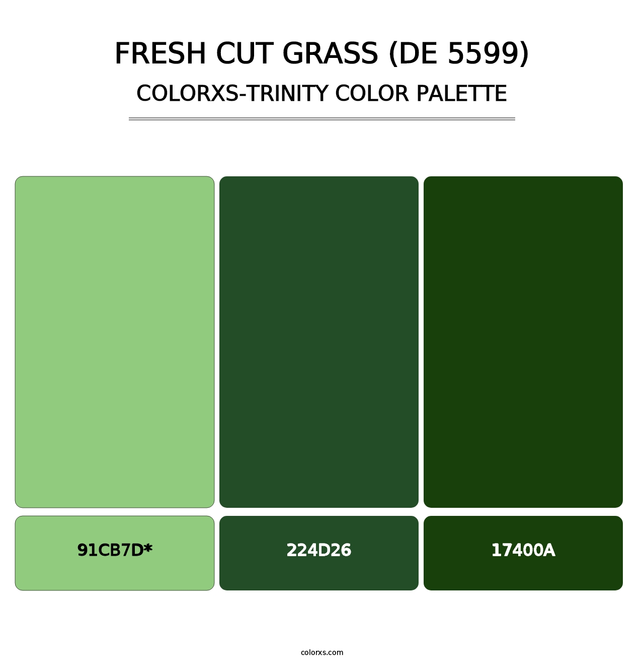 Fresh Cut Grass (DE 5599) - Colorxs Trinity Palette