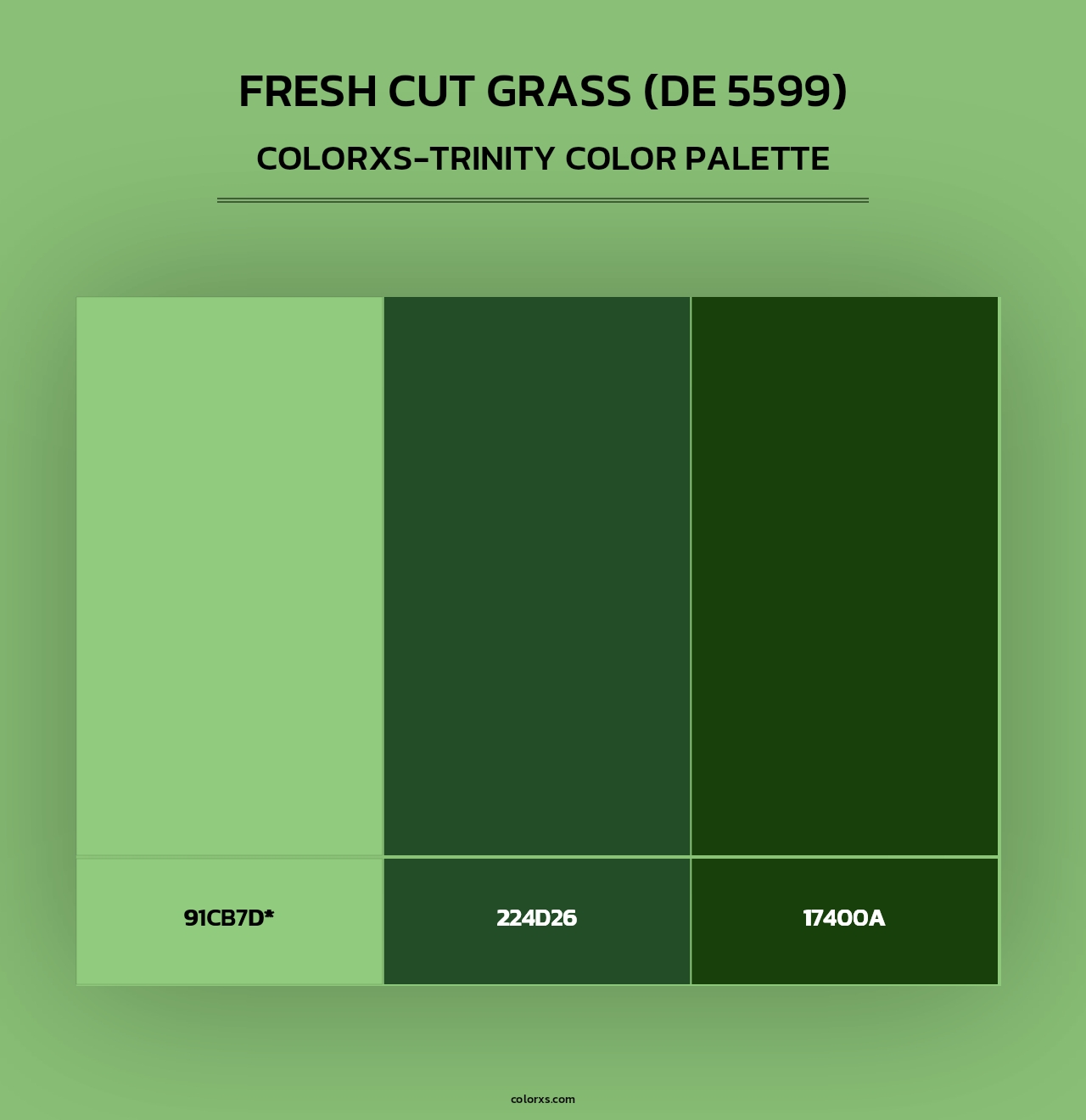 Fresh Cut Grass (DE 5599) - Colorxs Trinity Palette