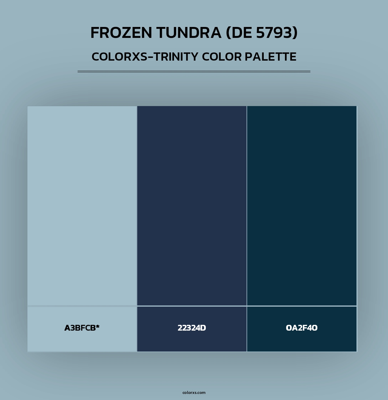Frozen Tundra (DE 5793) - Colorxs Trinity Palette