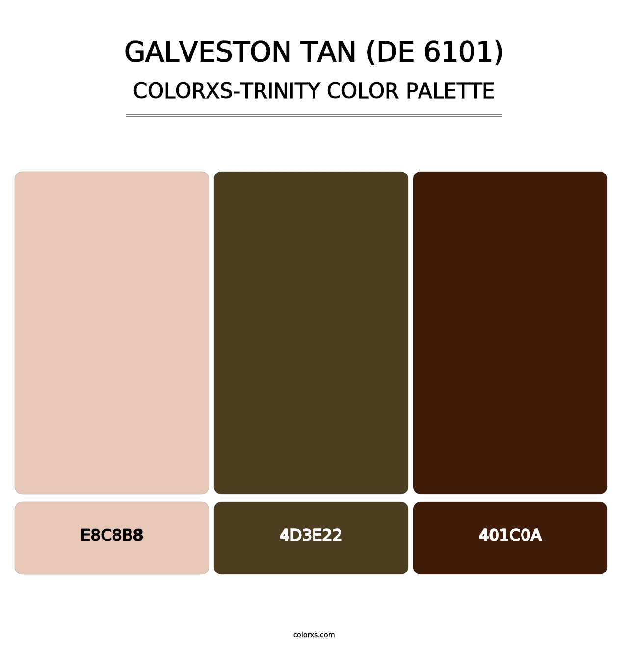 Galveston Tan (DE 6101) - Colorxs Trinity Palette