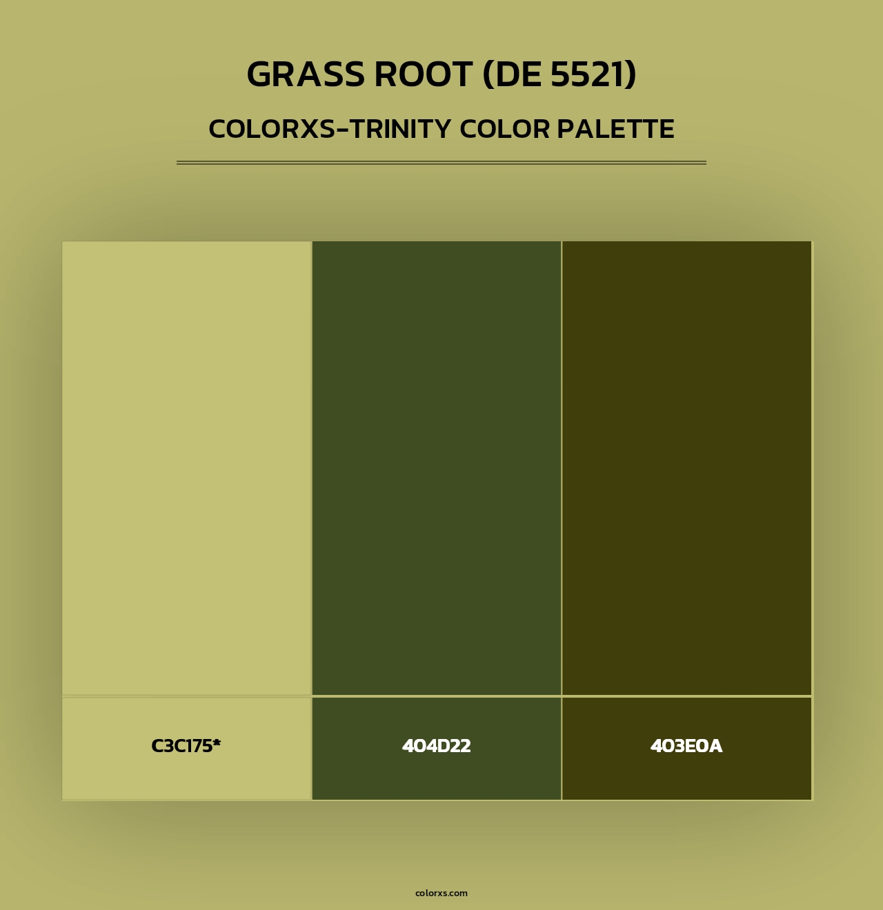 Grass Root (DE 5521) - Colorxs Trinity Palette