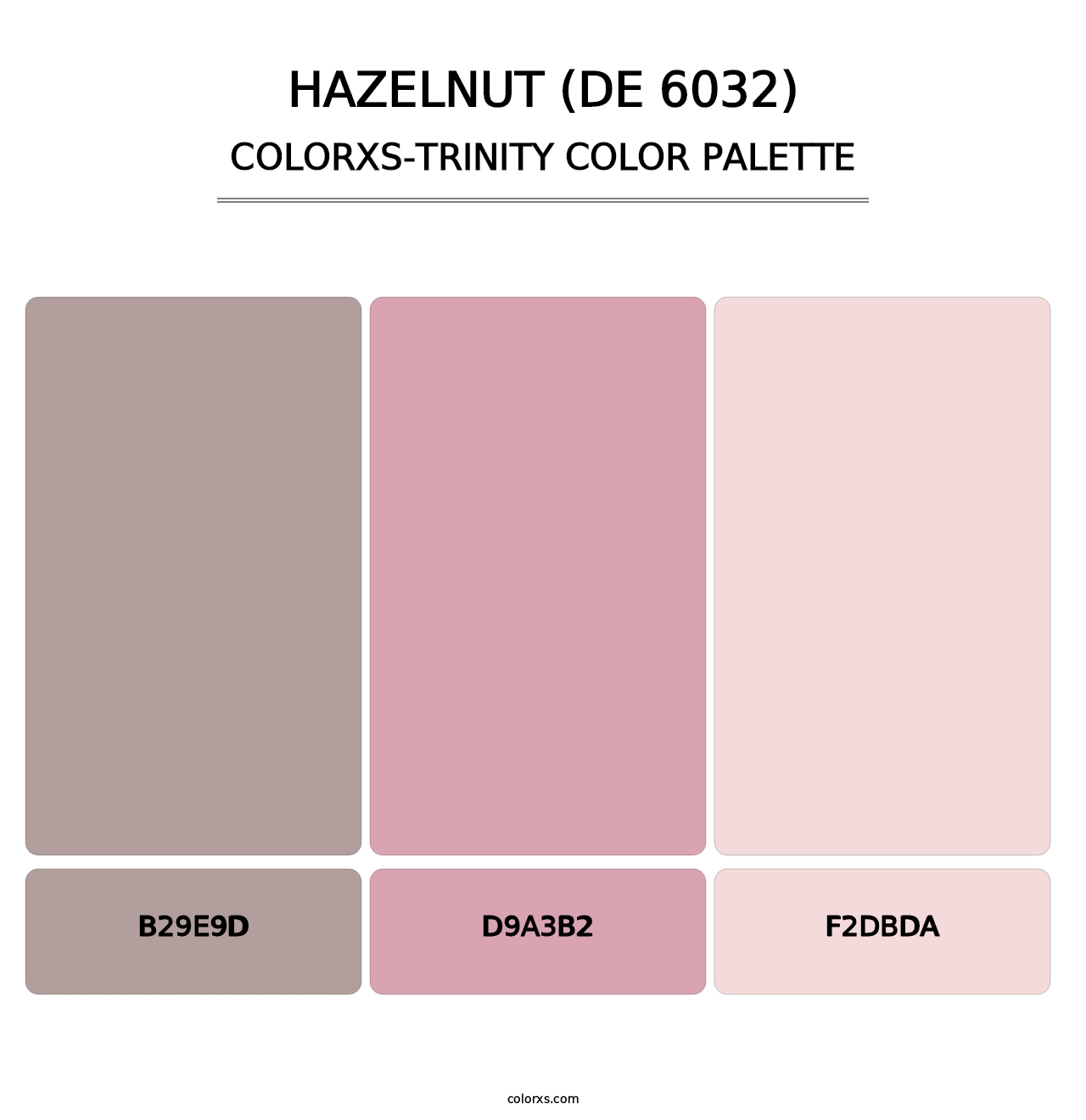 Hazelnut (DE 6032) - Colorxs Trinity Palette