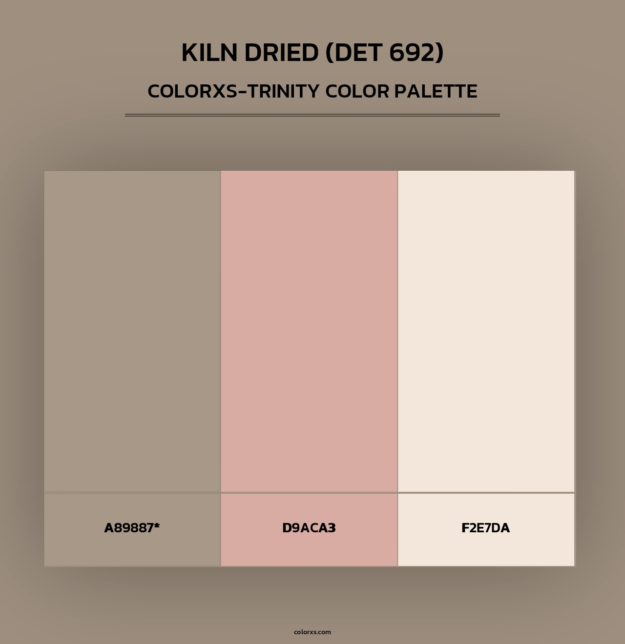 Kiln Dried (DET 692) - Colorxs Trinity Palette