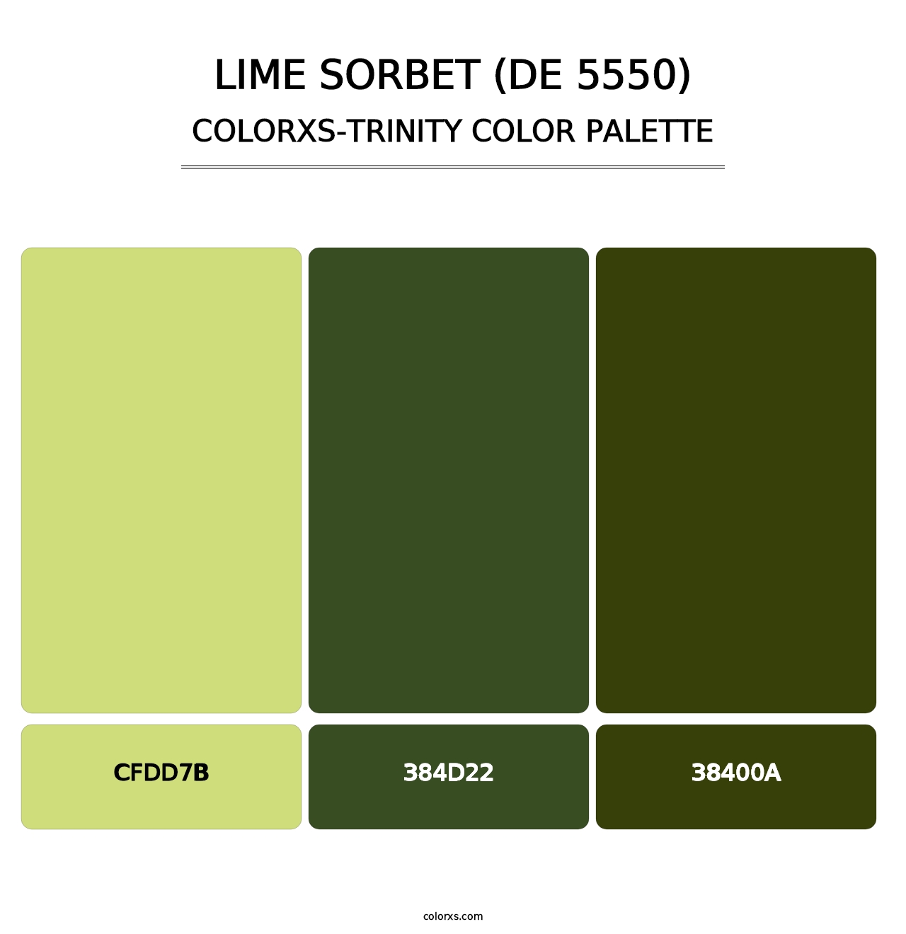 Lime Sorbet (DE 5550) - Colorxs Trinity Palette