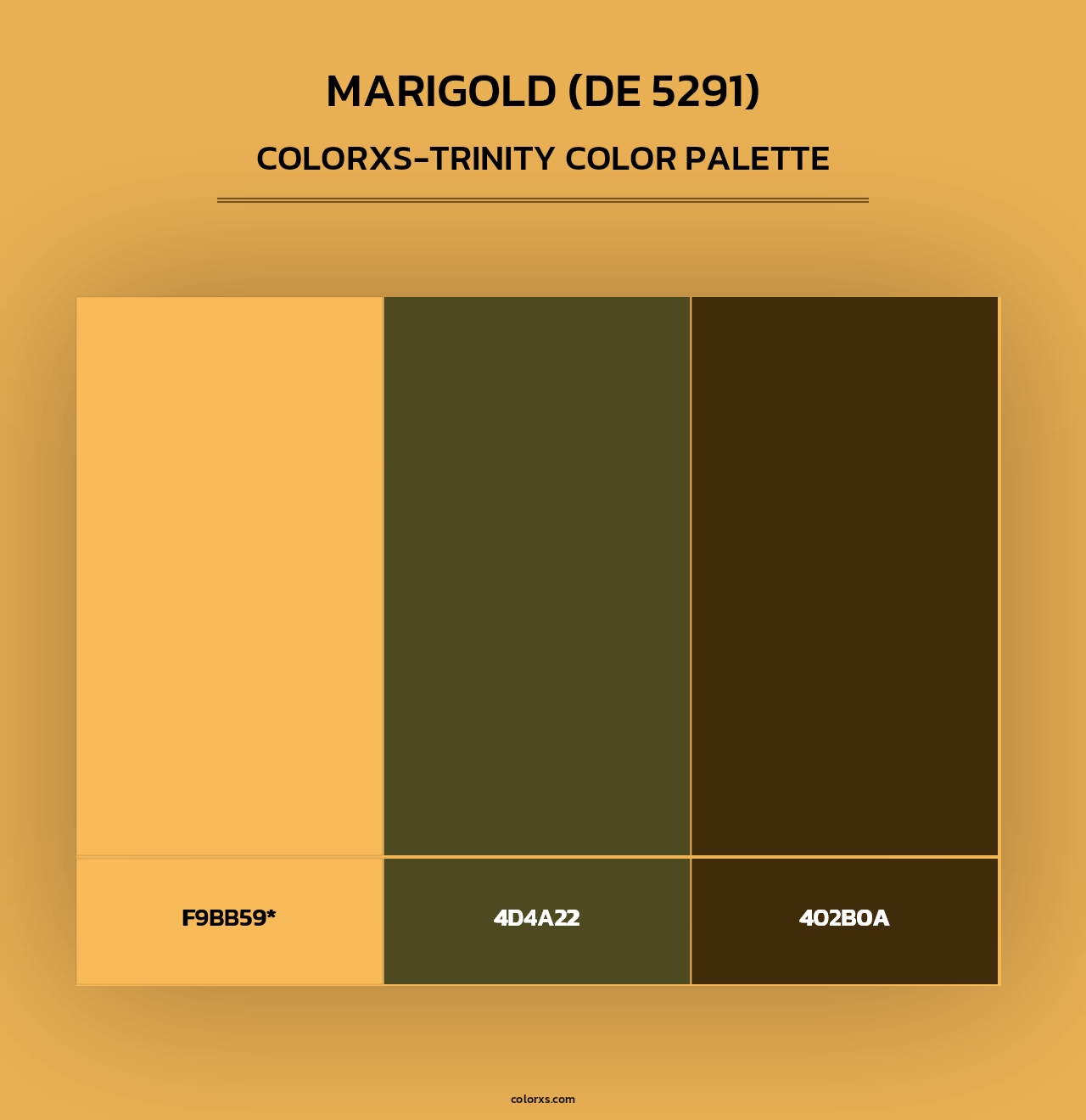 Marigold (DE 5291) - Colorxs Trinity Palette