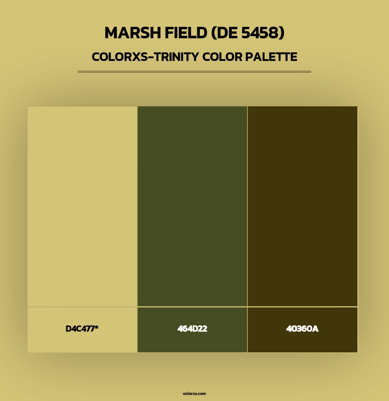 Marsh Field (DE 5458) - Colorxs Trinity Palette