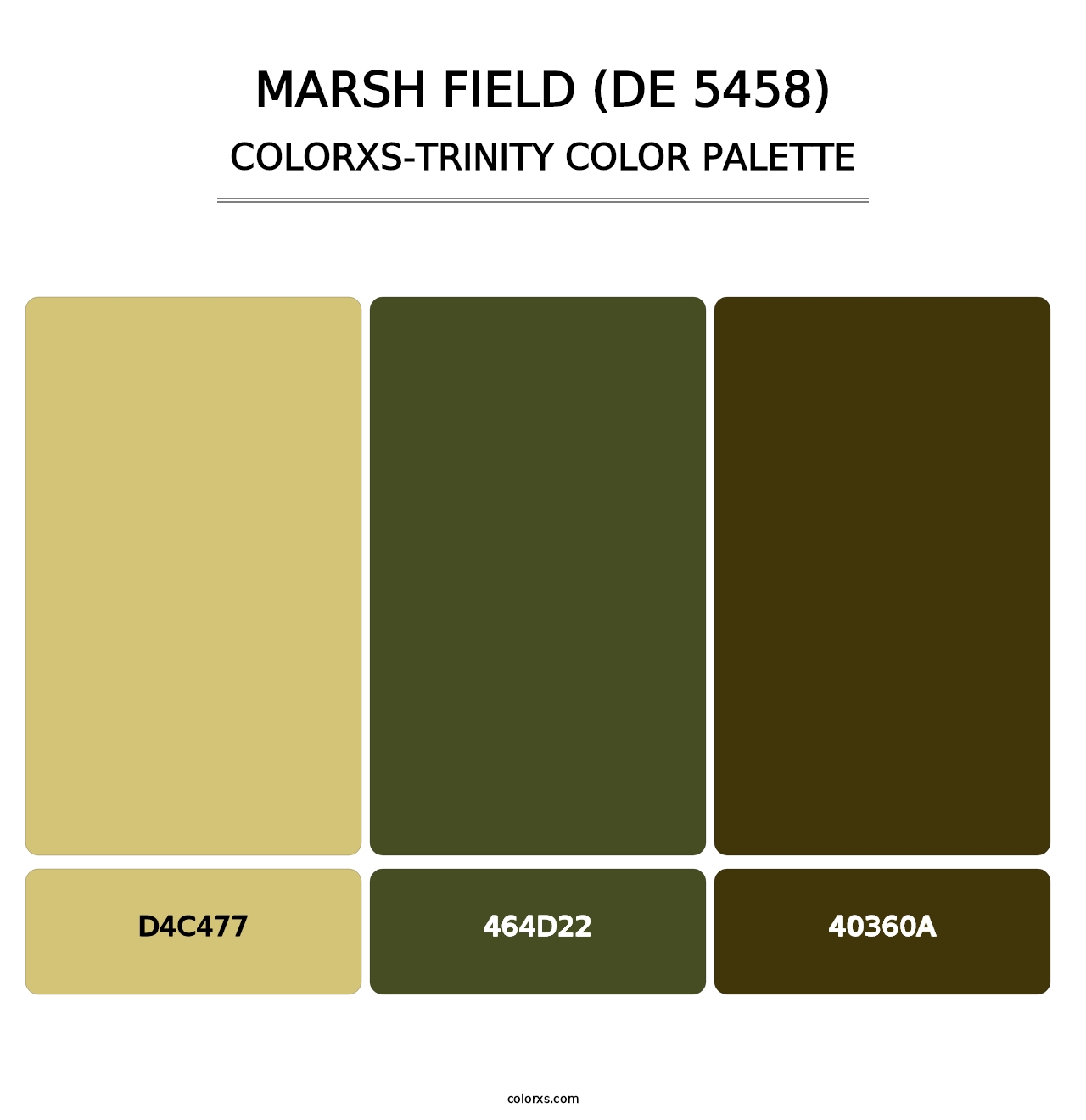 Marsh Field (DE 5458) - Colorxs Trinity Palette