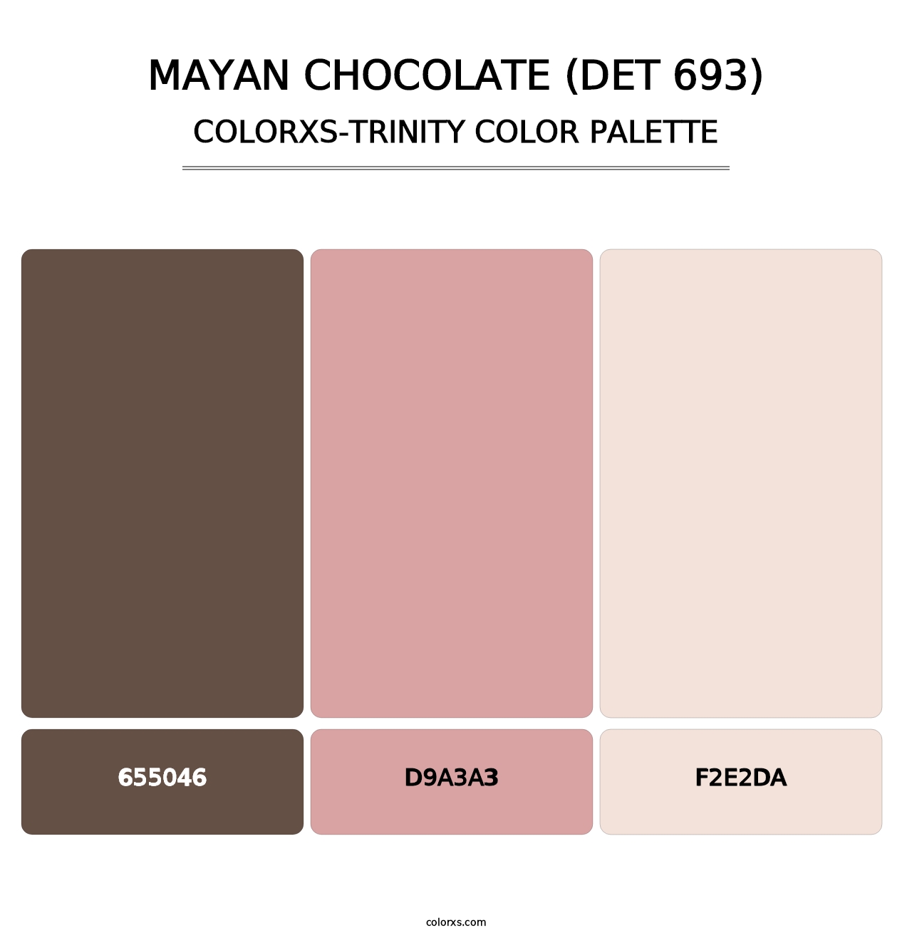 Mayan Chocolate (DET 693) - Colorxs Trinity Palette