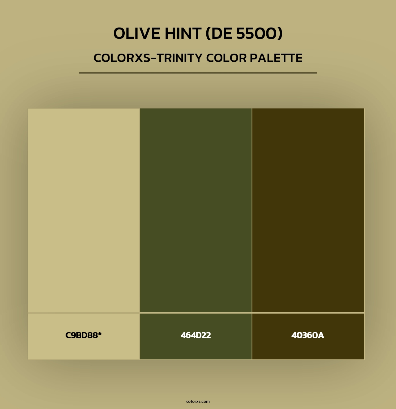 Olive Hint (DE 5500) - Colorxs Trinity Palette
