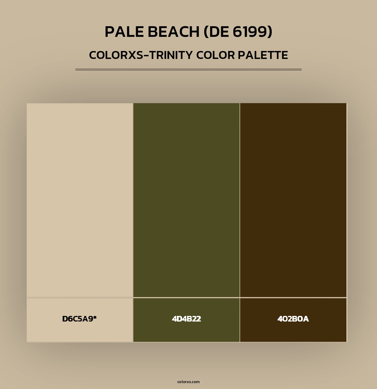 Pale Beach (DE 6199) - Colorxs Trinity Palette