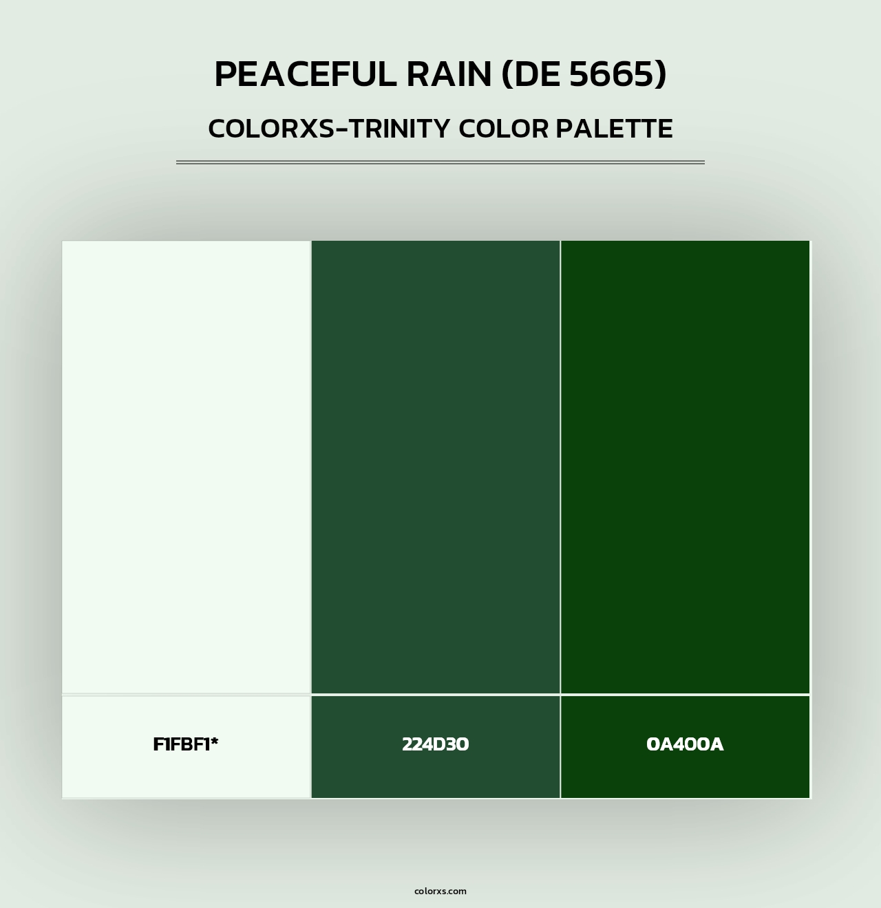 Peaceful Rain (DE 5665) - Colorxs Trinity Palette