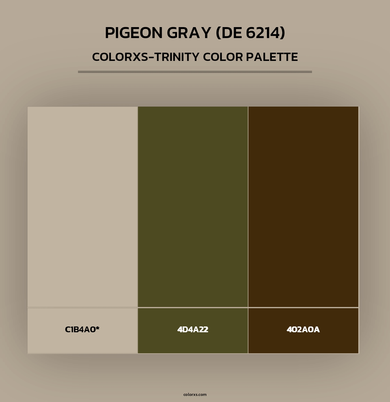 Pigeon Gray (DE 6214) - Colorxs Trinity Palette