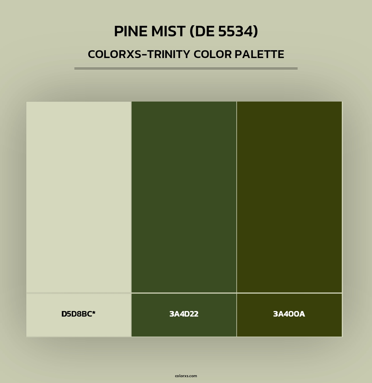 Pine Mist (DE 5534) - Colorxs Trinity Palette
