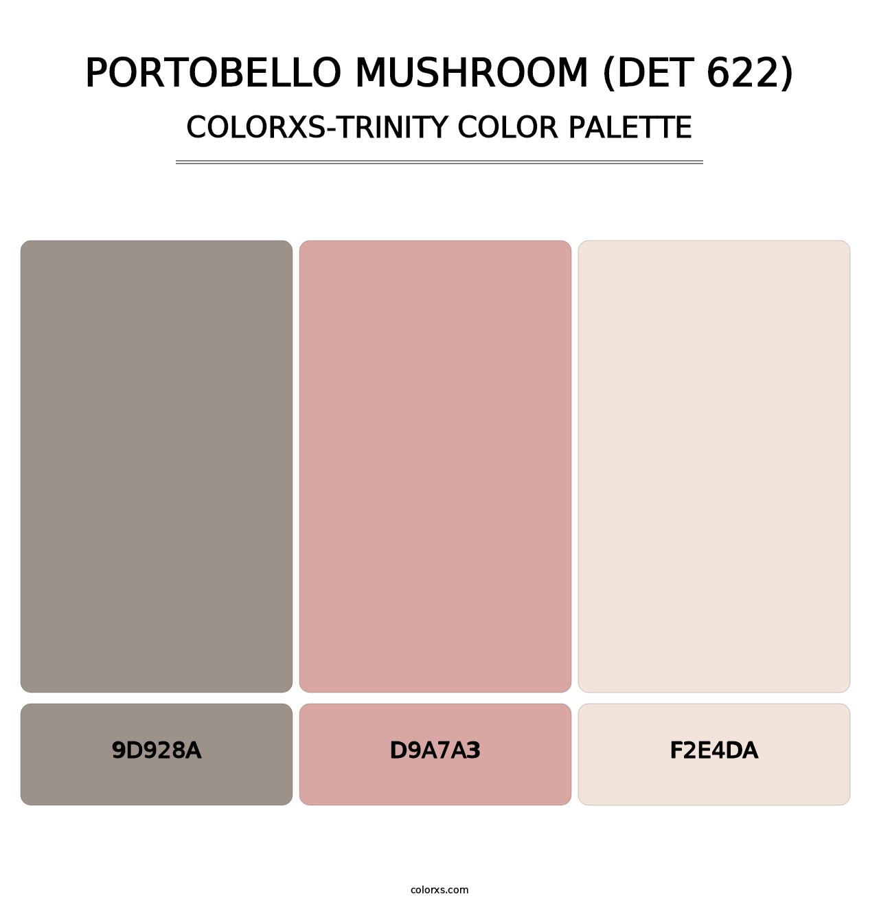 Portobello Mushroom (DET 622) - Colorxs Trinity Palette