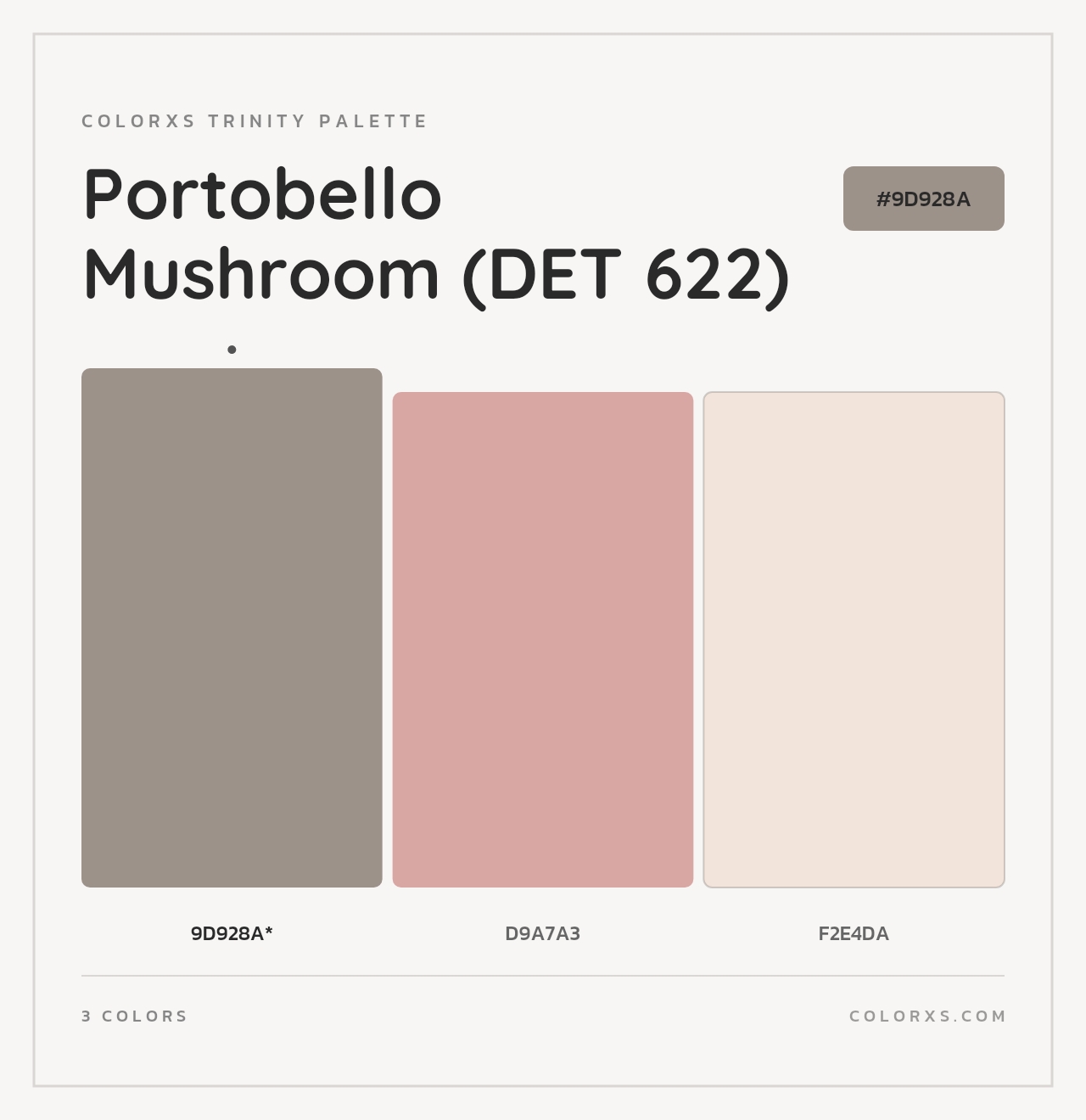 Portobello Mushroom (DET 622) - Colorxs Trinity Palette