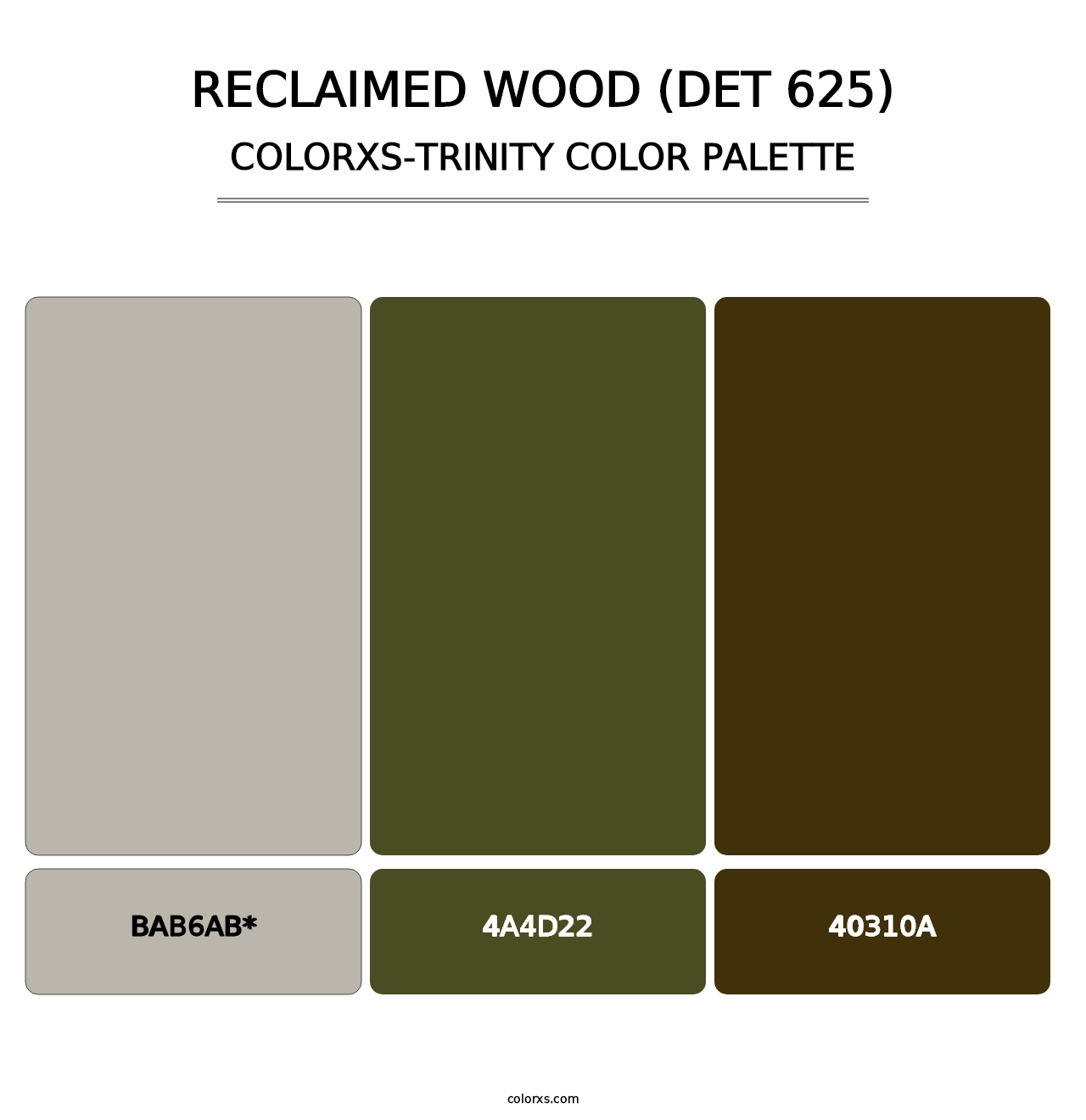 Reclaimed Wood (DET 625) - Colorxs Trinity Palette