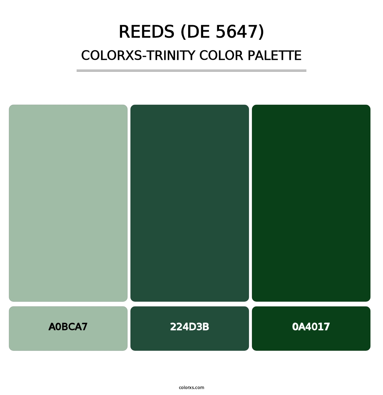 Reeds (DE 5647) - Colorxs Trinity Palette