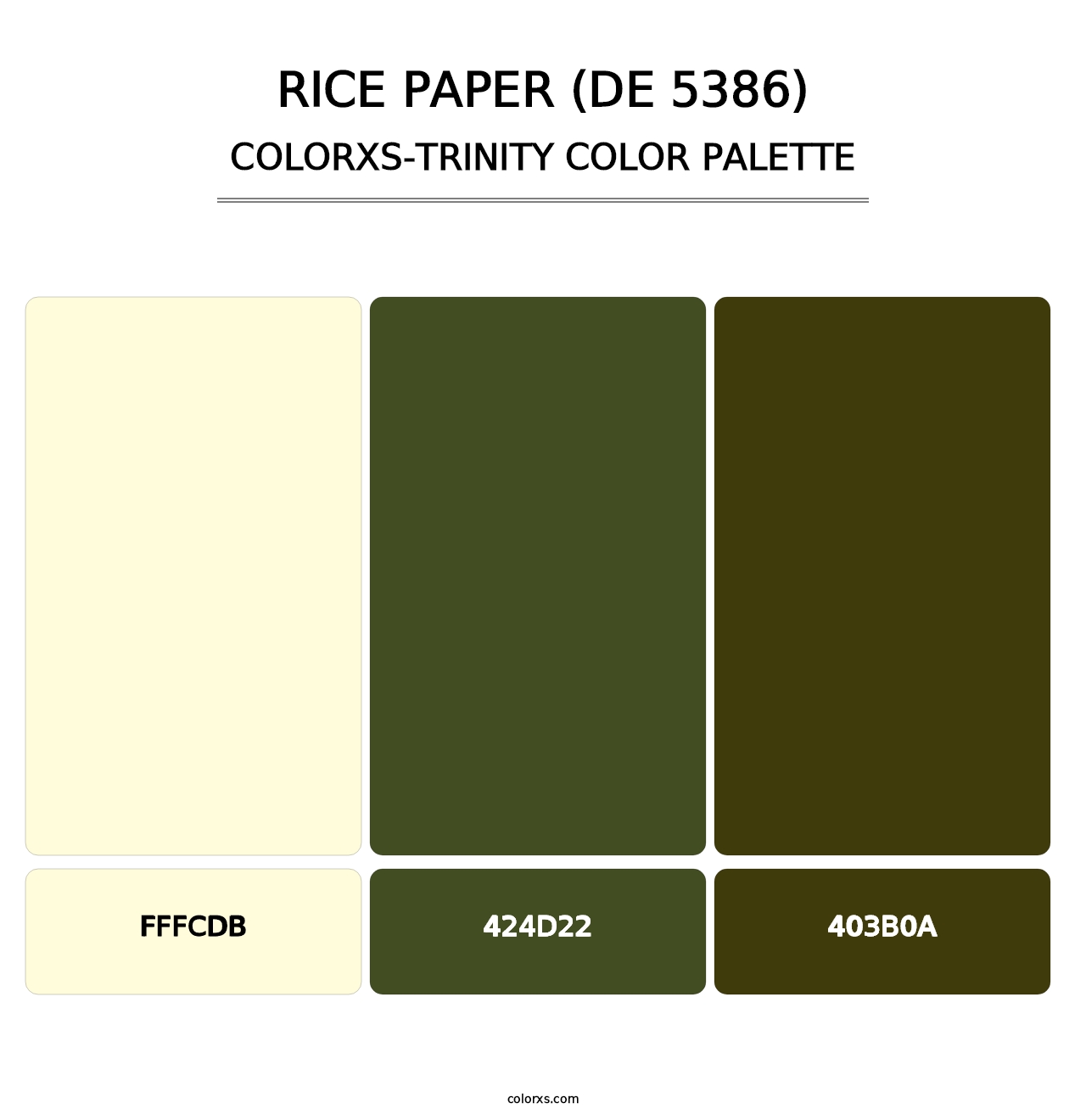 Rice Paper (DE 5386) - Colorxs Trinity Palette
