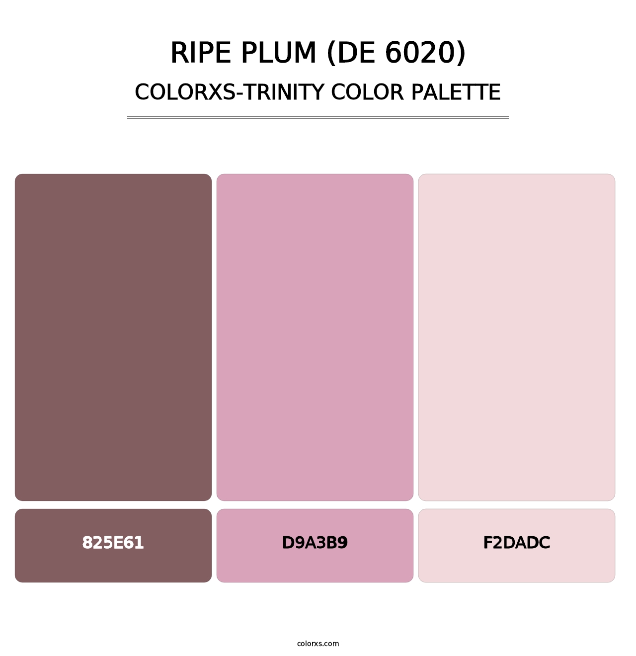 Ripe Plum (DE 6020) - Colorxs Trinity Palette