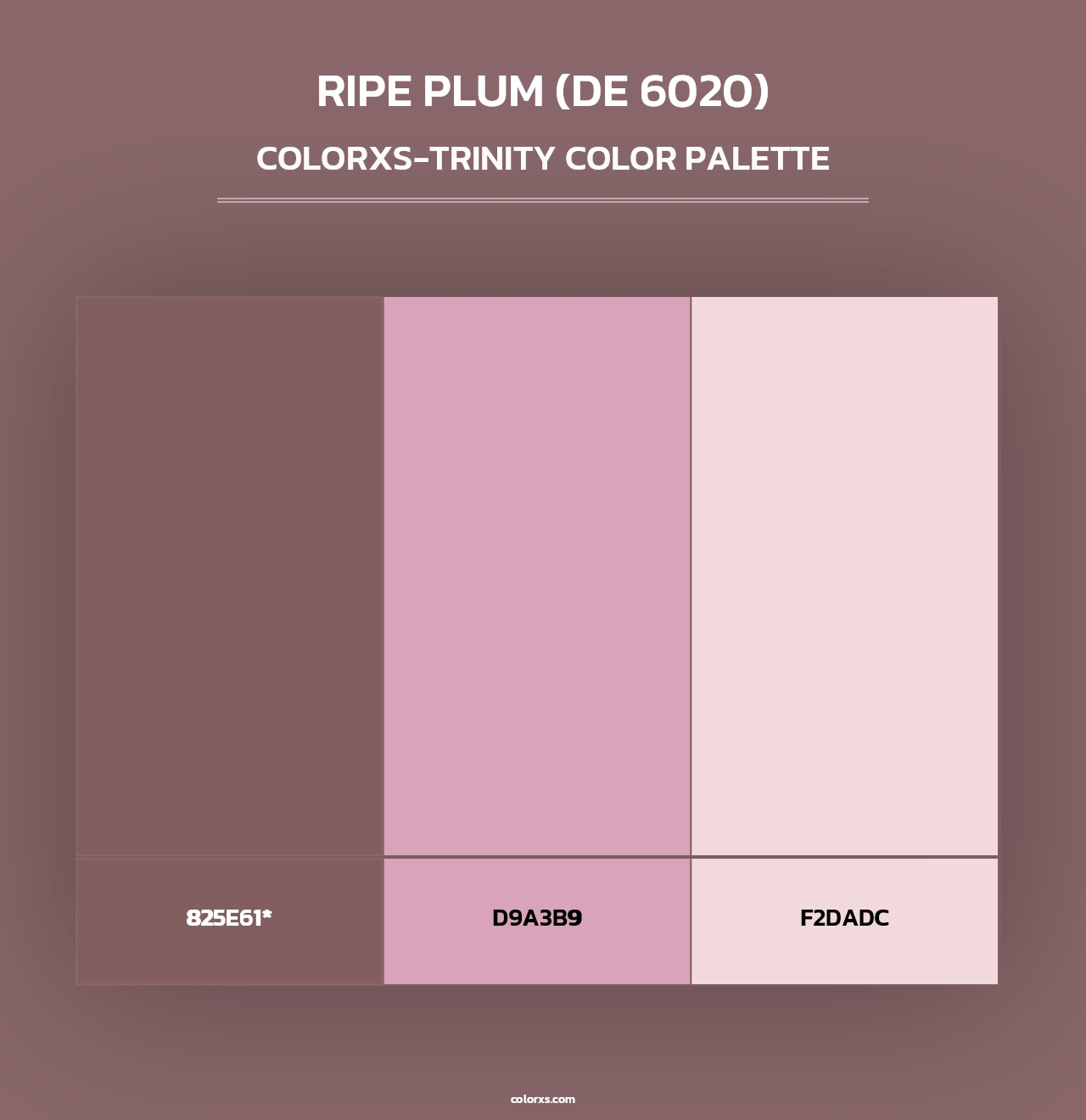 Ripe Plum (DE 6020) - Colorxs Trinity Palette