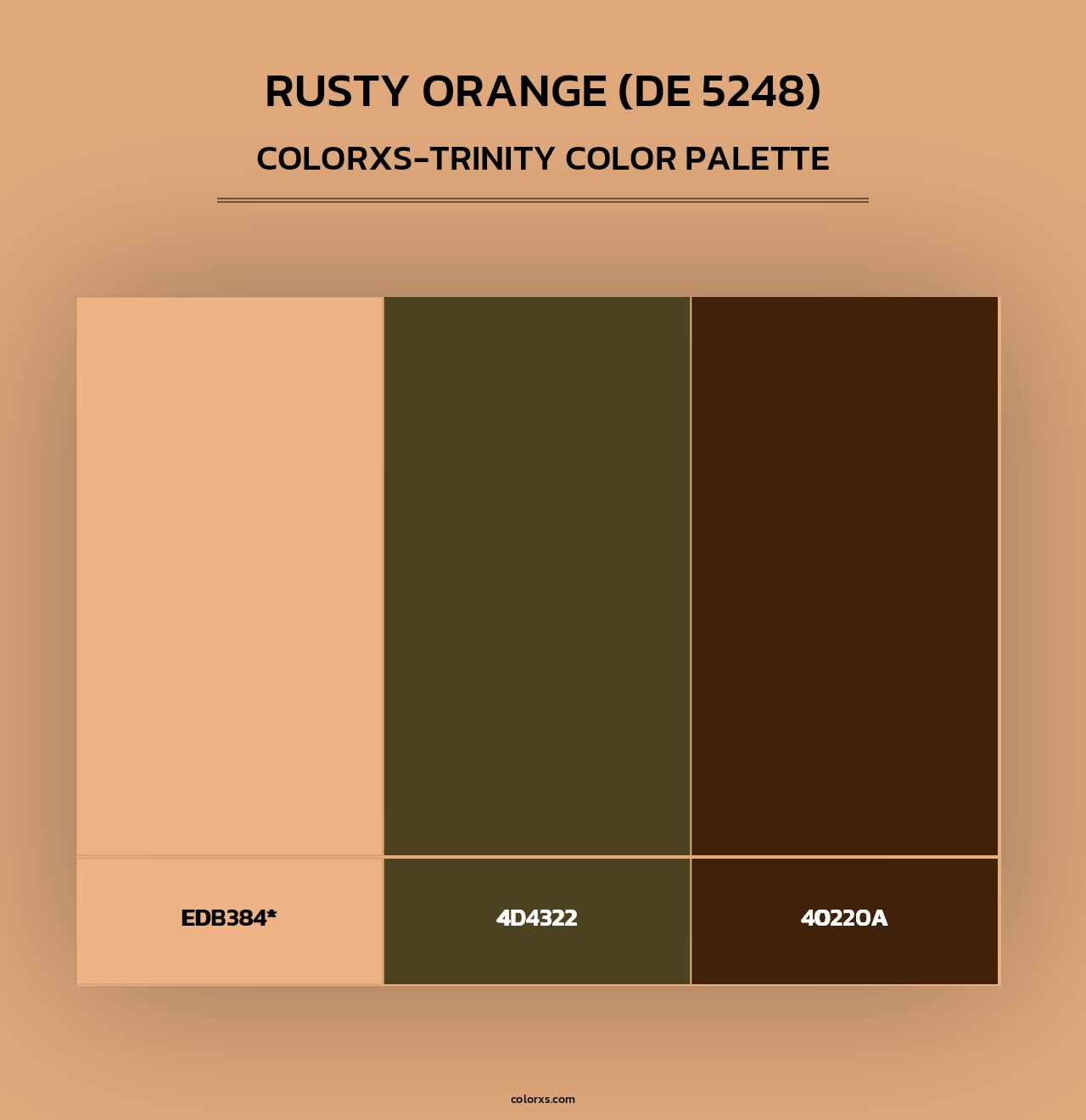 Rusty Orange (DE 5248) - Colorxs Trinity Palette