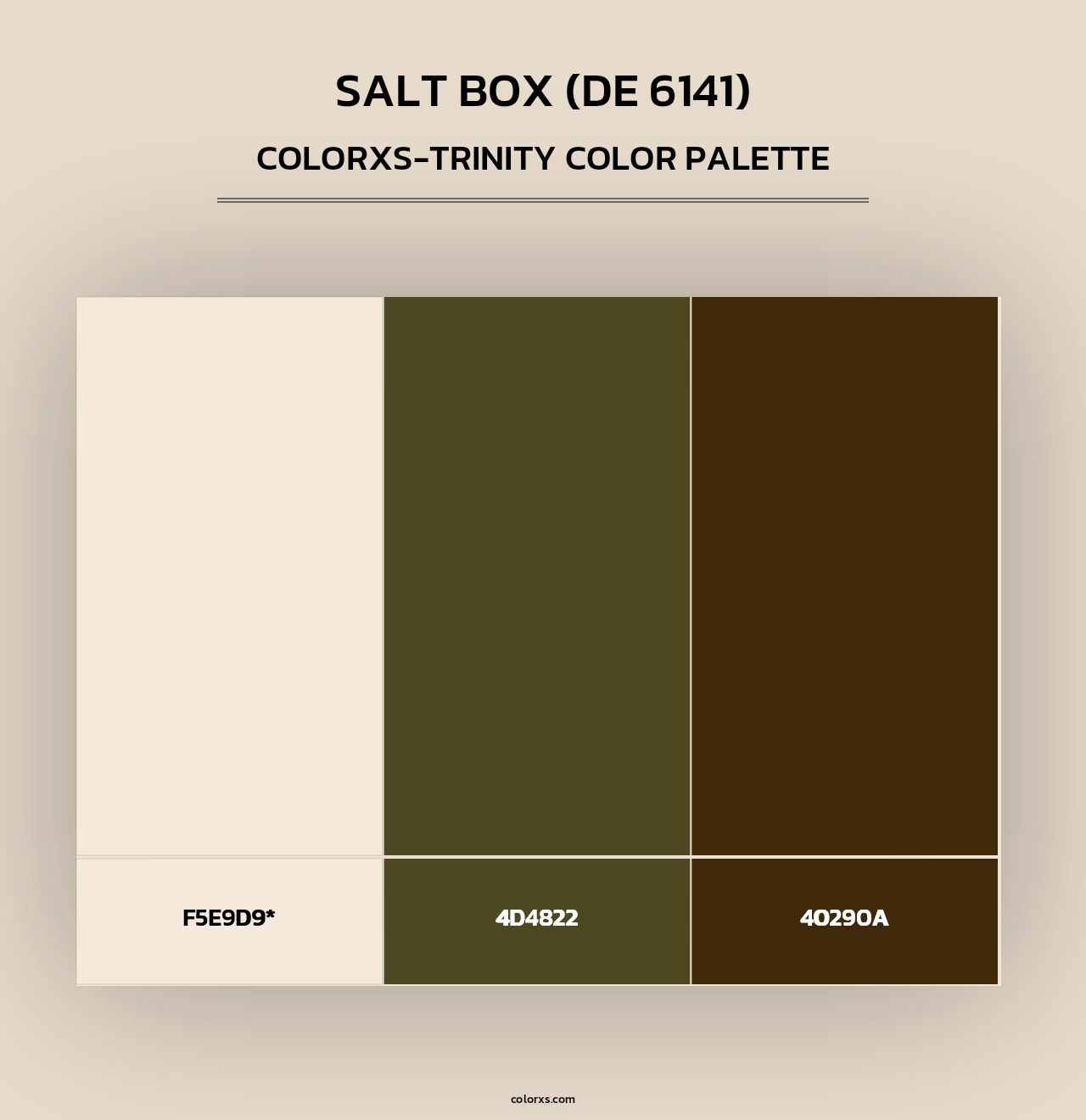 Salt Box (DE 6141) - Colorxs Trinity Palette