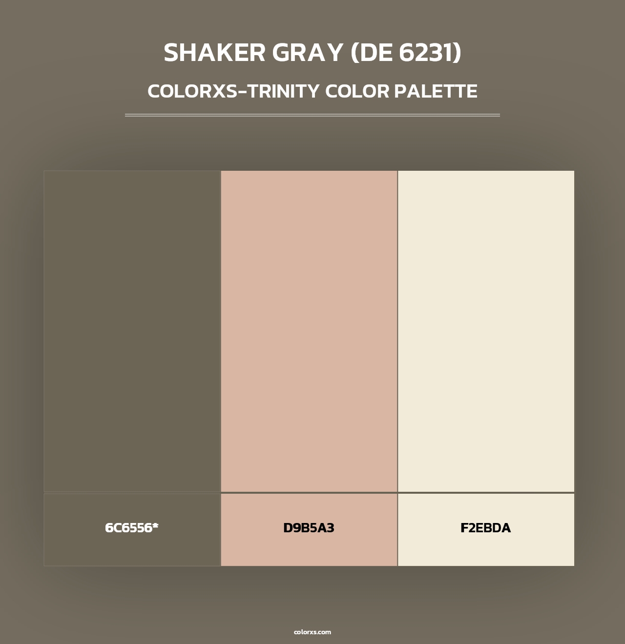 Shaker Gray (DE 6231) - Colorxs Trinity Palette