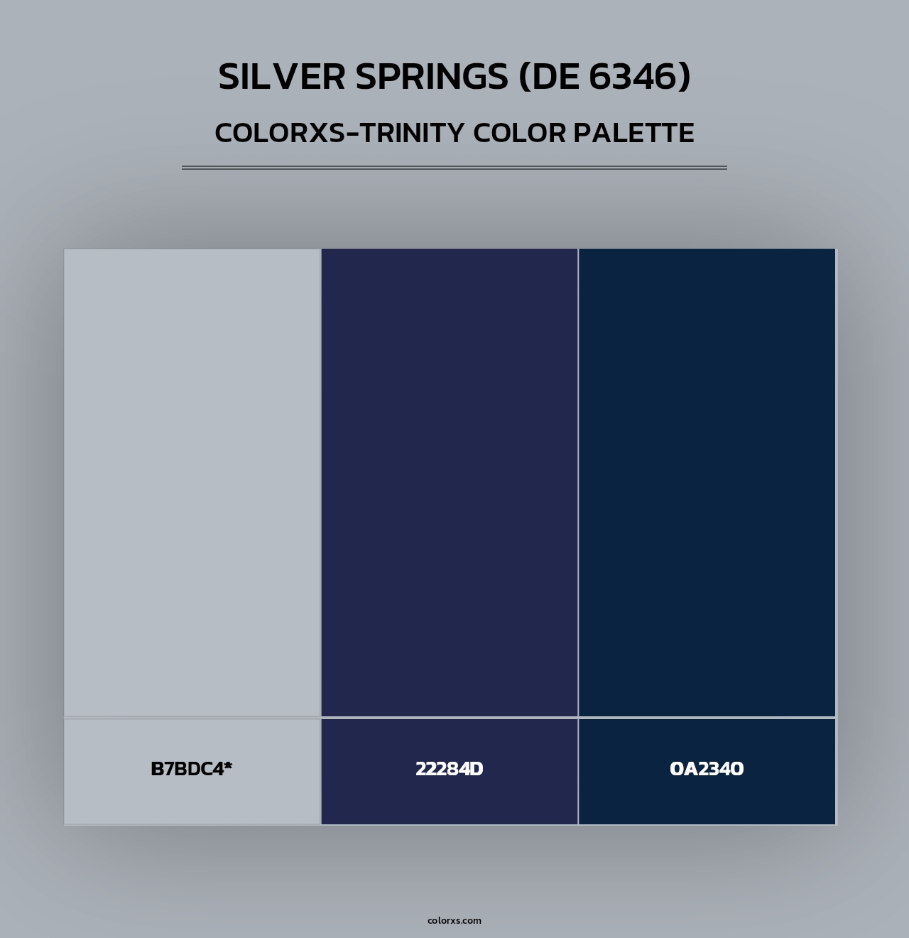 Silver Springs (DE 6346) - Colorxs Trinity Palette