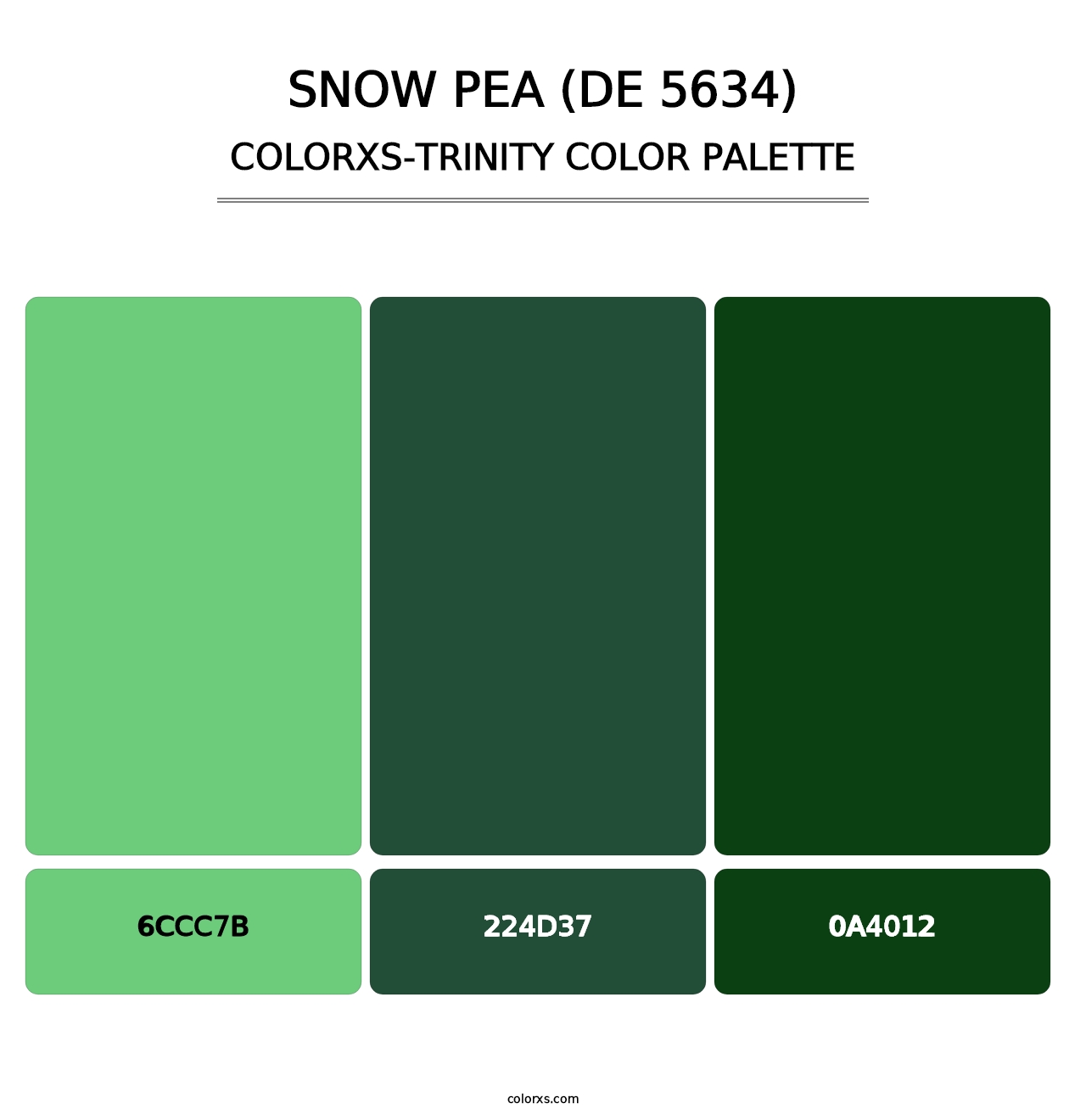 Snow Pea (DE 5634) - Colorxs Trinity Palette