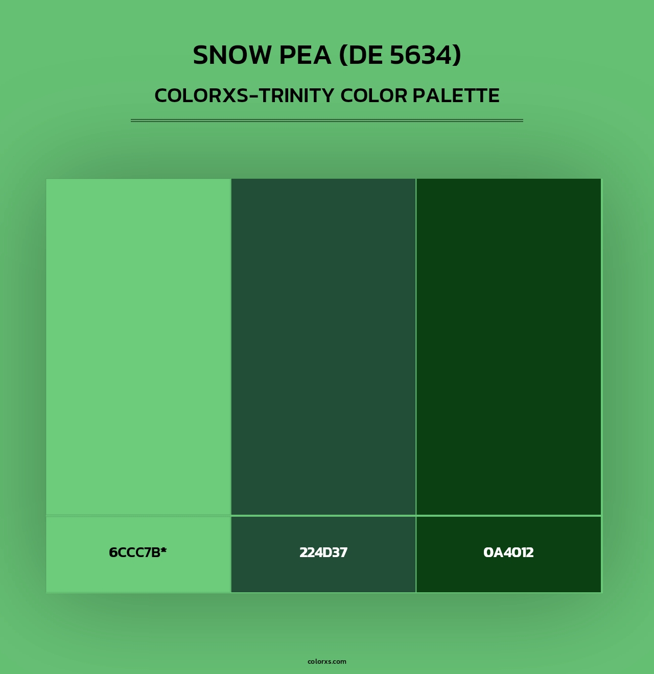 Snow Pea (DE 5634) - Colorxs Trinity Palette